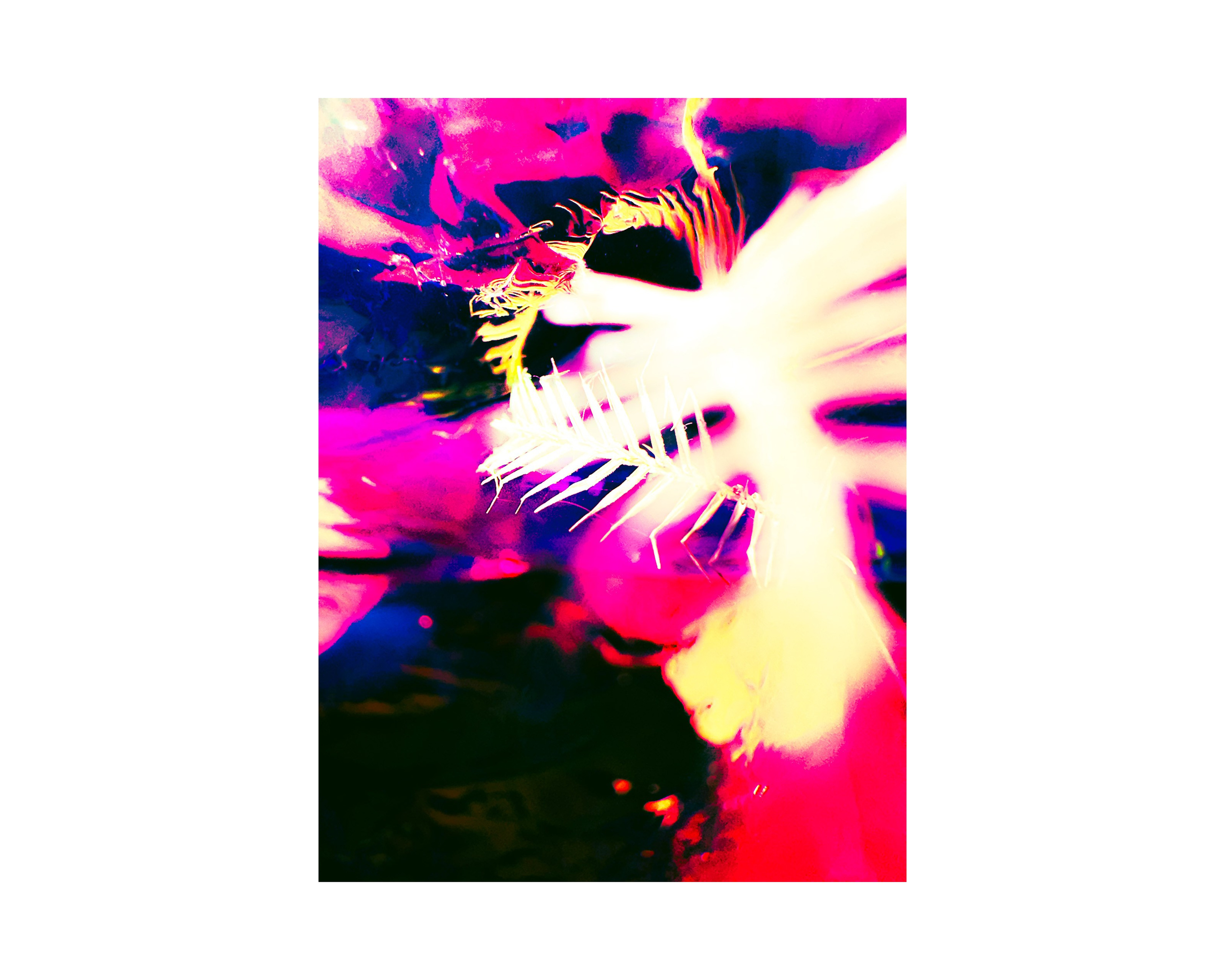 Nature from Exaggerated Worlds. Ekaterina Tsurkina-Appina Photography Canada