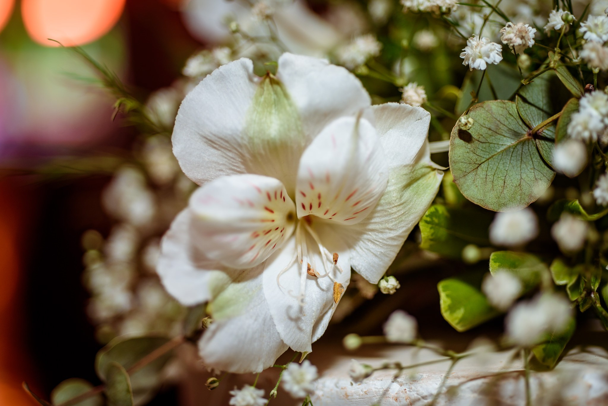 Malu e Felipe. Fotografia de casamentos e ensaios em avaré Jônata Oliveira