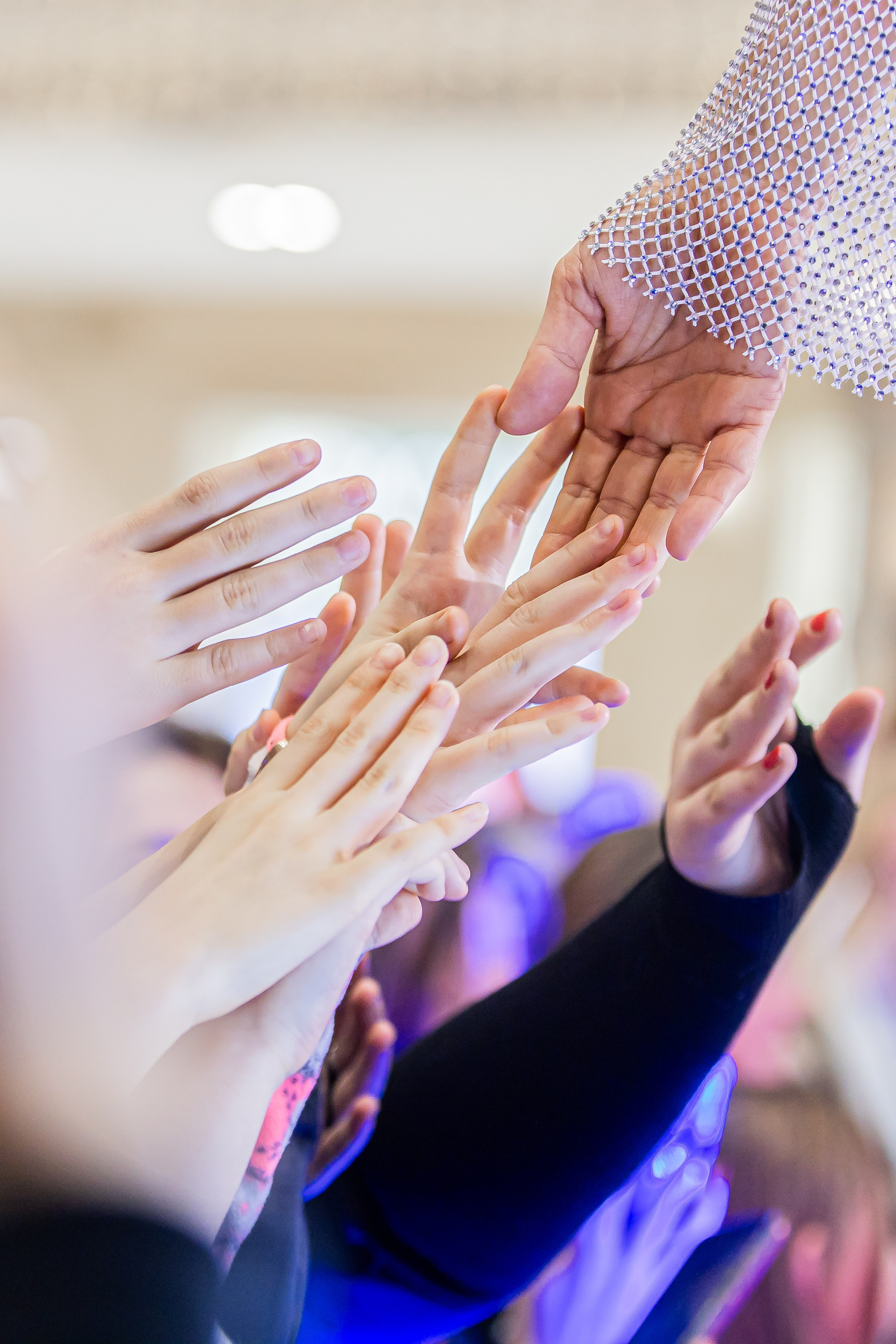 Ognevich. Репортажний фотограф/анімаліст КИЇВ