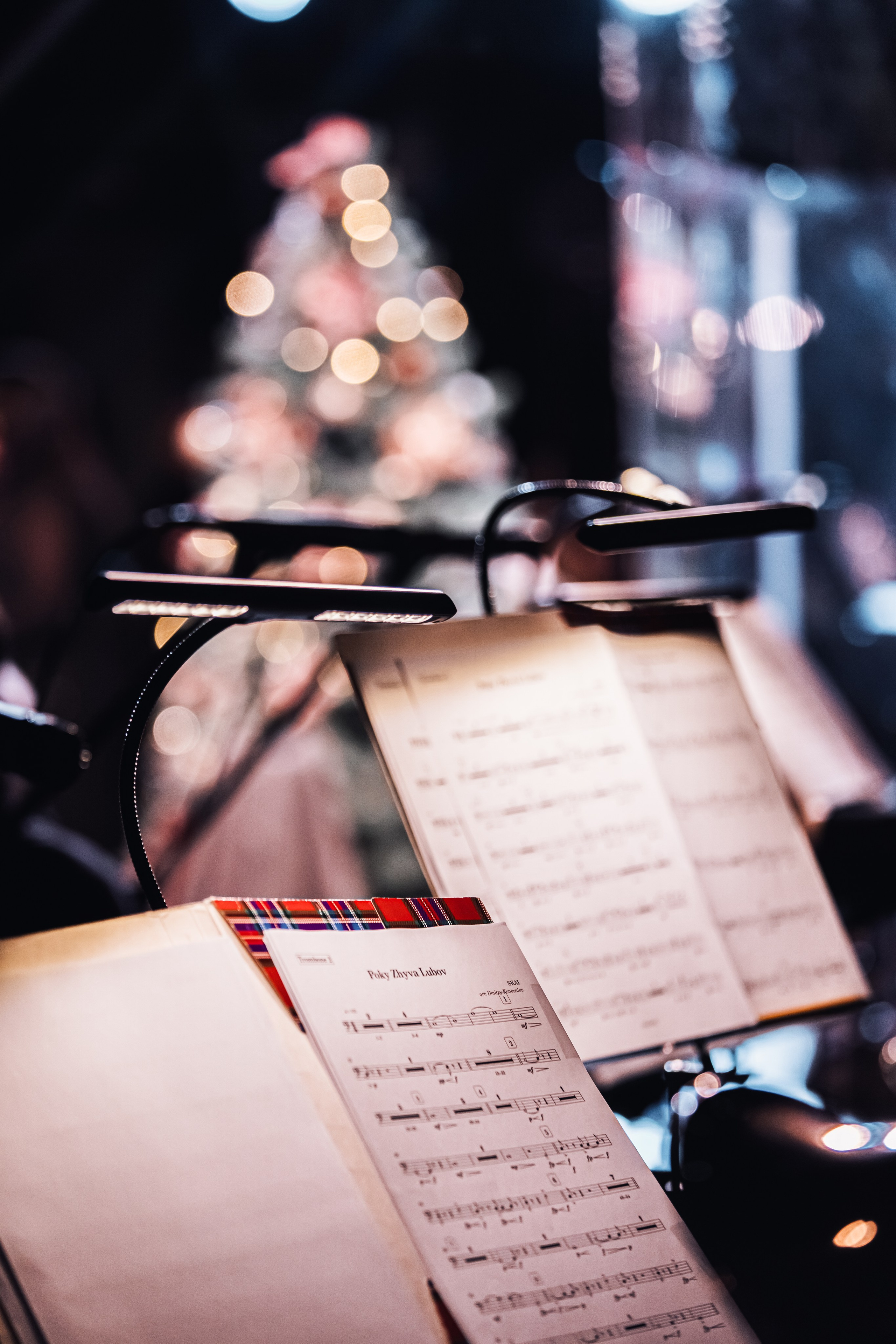 Скай. Репортажний фотограф/анімаліст КИЇВ