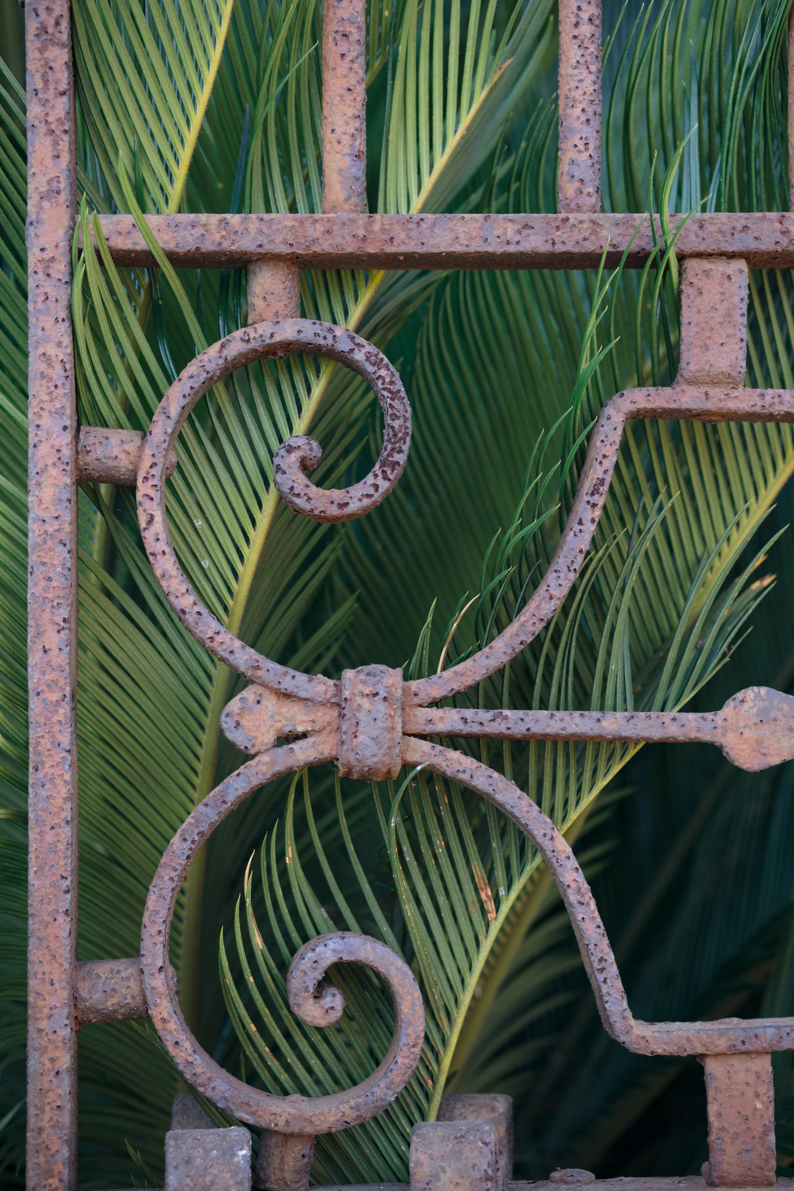 Sicily. Wedding photography — EMU Photos