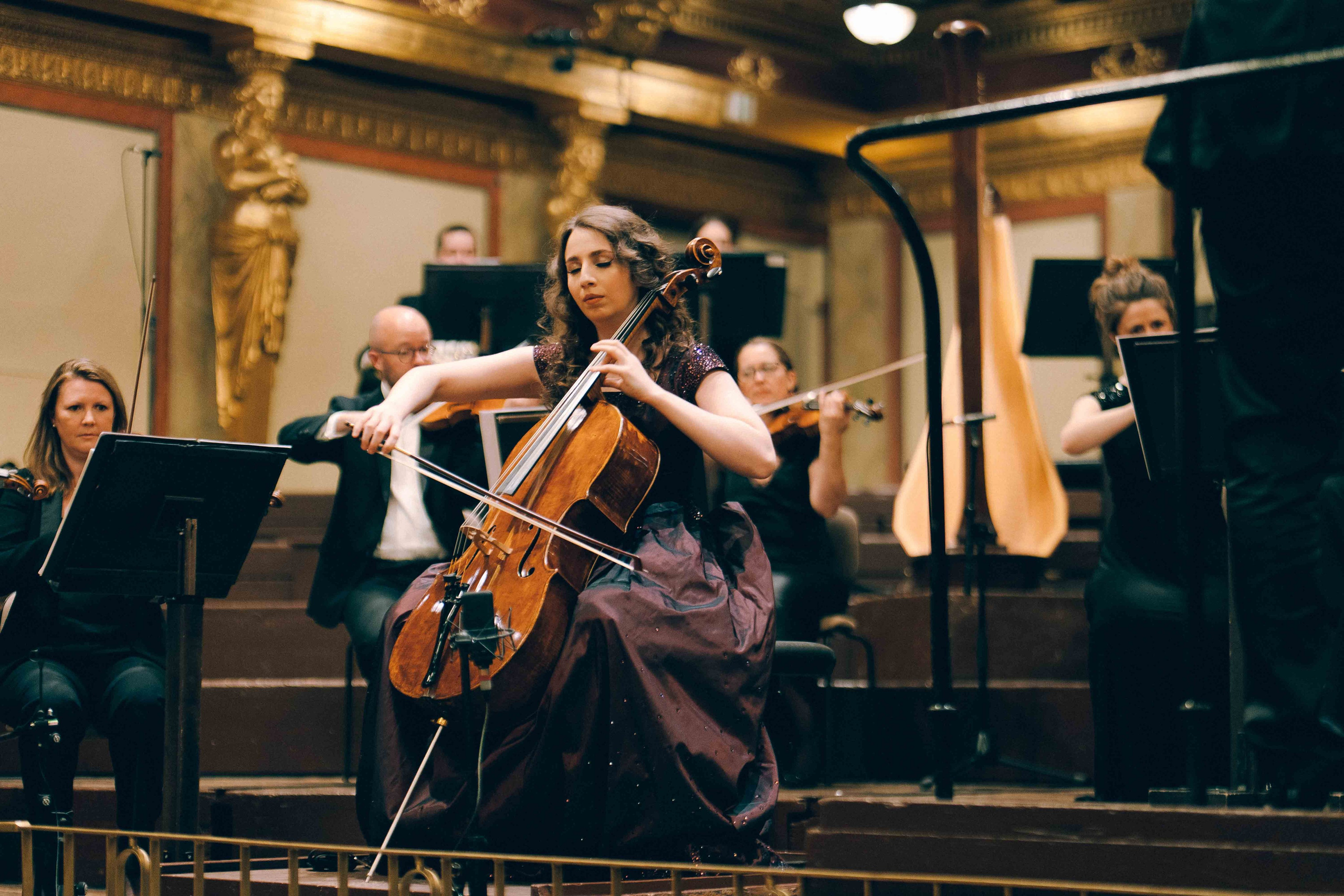 MUSIKVEREIN (VIENNA). Wedding&Event photographer Ismail Rzayev in Baku