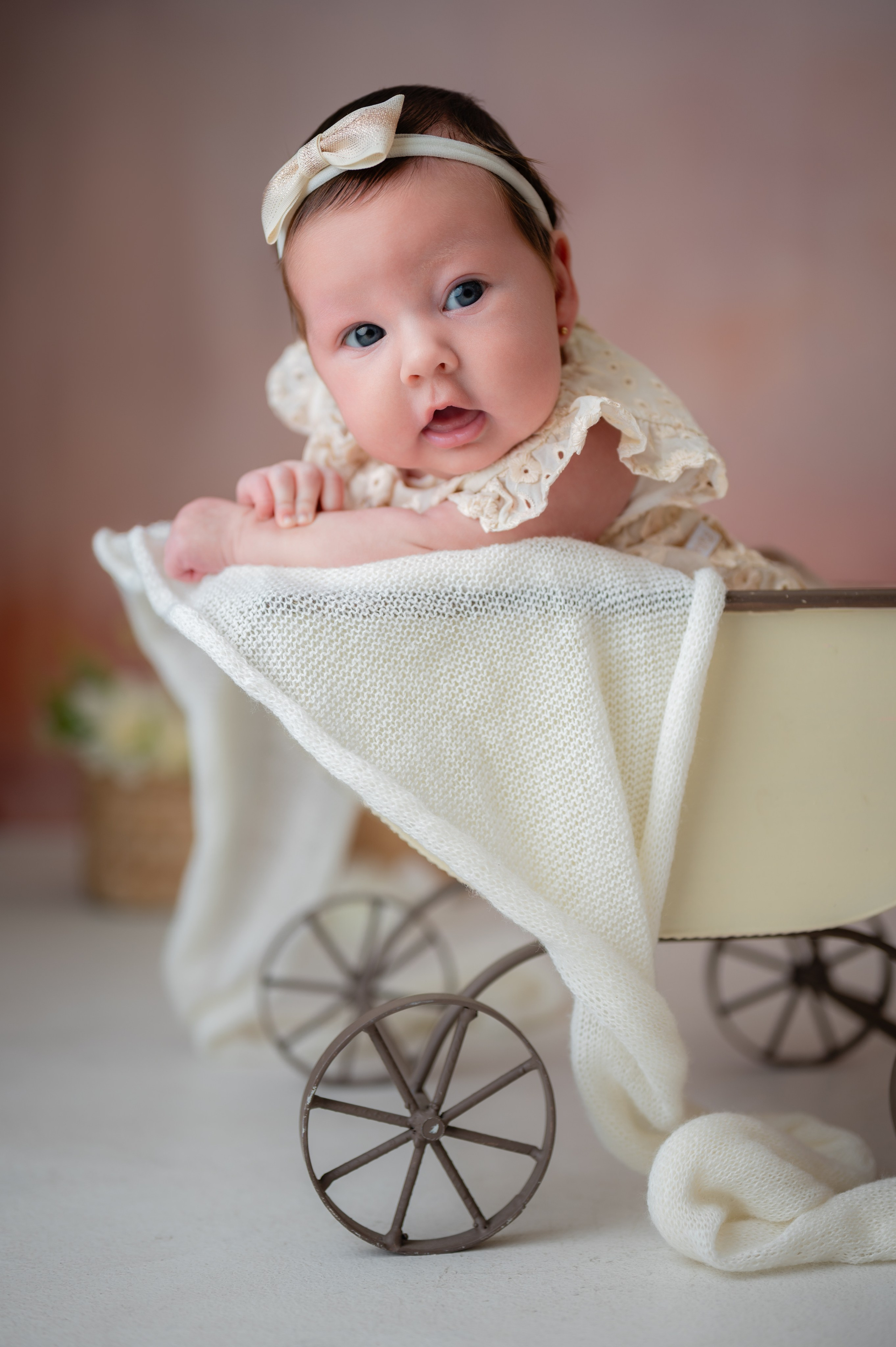 Acompanhamentos. Fotografamos famílias, gestantes, bebês e ensaios individuais