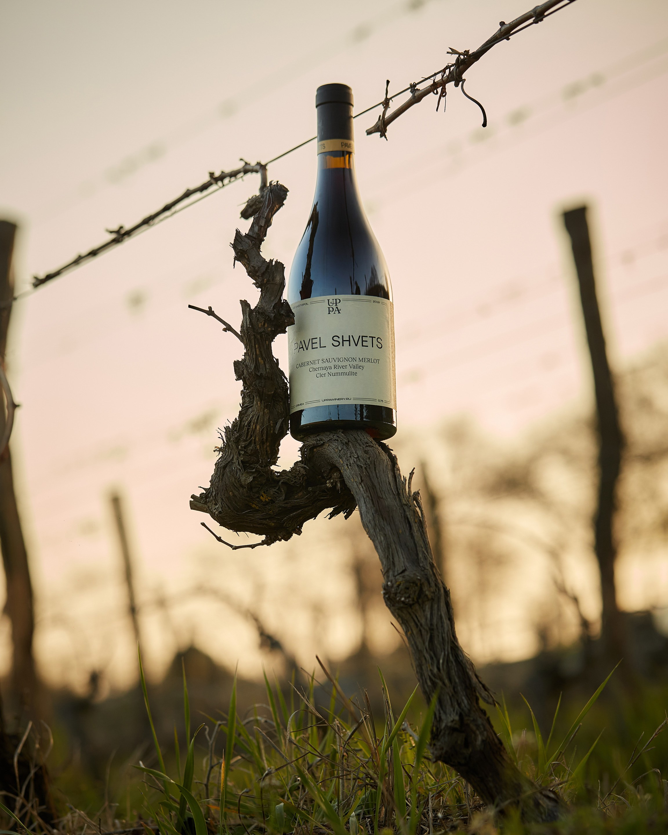 Коммерческая фотосъемка винной бутылки Kommerzielles Fotoshooting Weinflasche Commercial wine bottle photography in Berlin