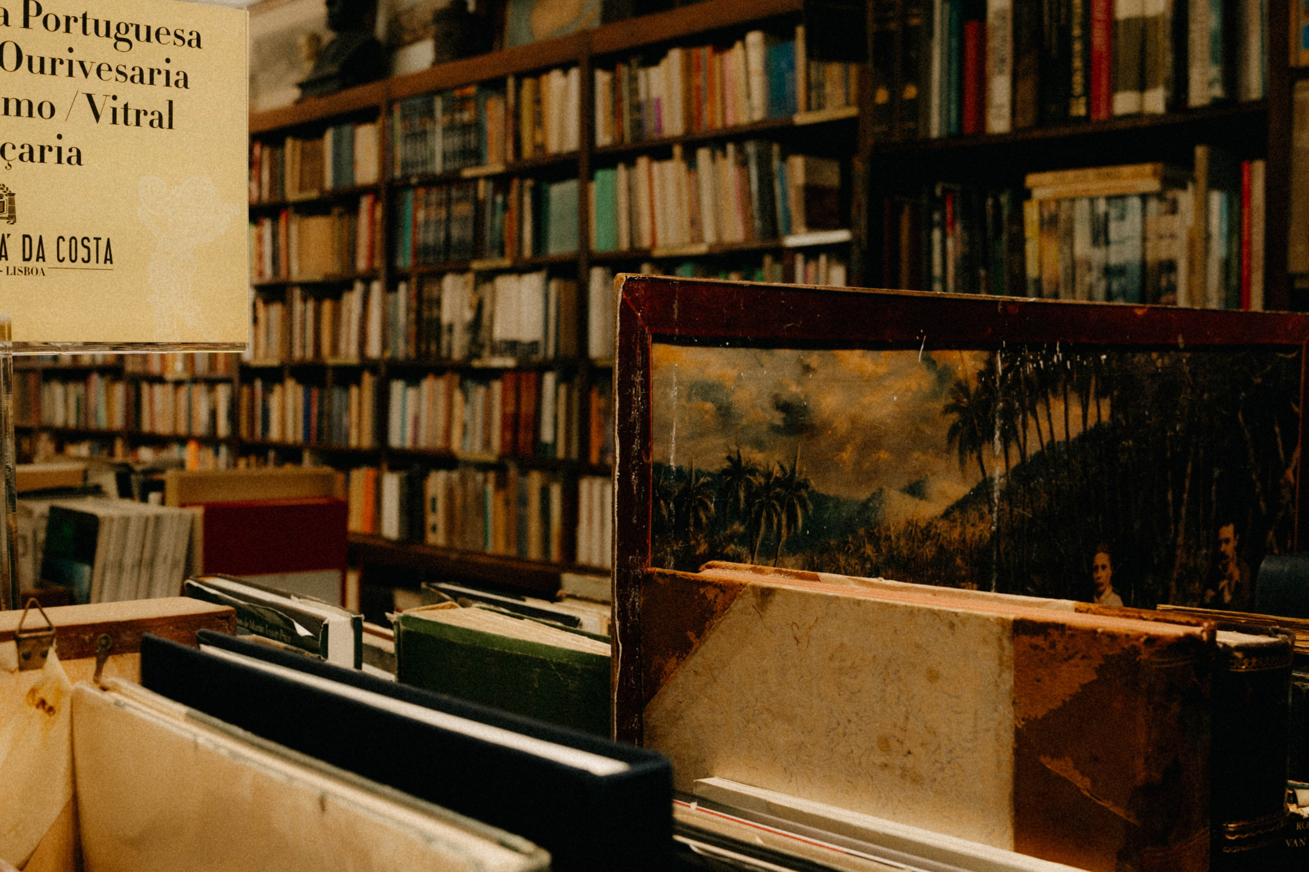 Lisboa, Agosto 2024. Alba del Norte Studio