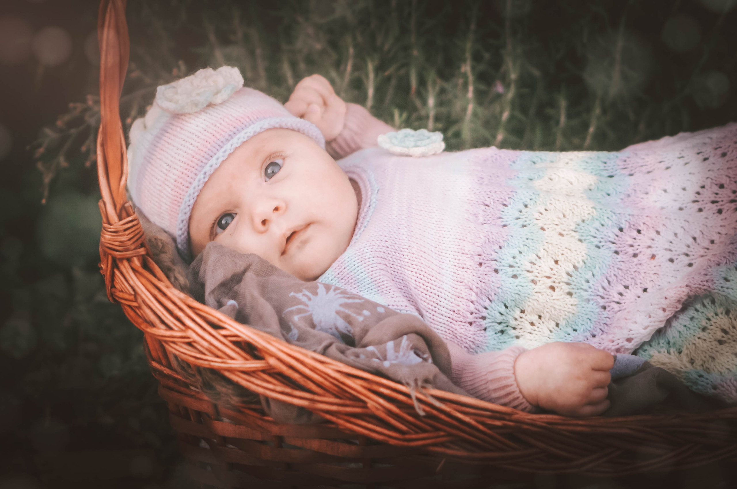 Olivia. Alba del Norte Studio