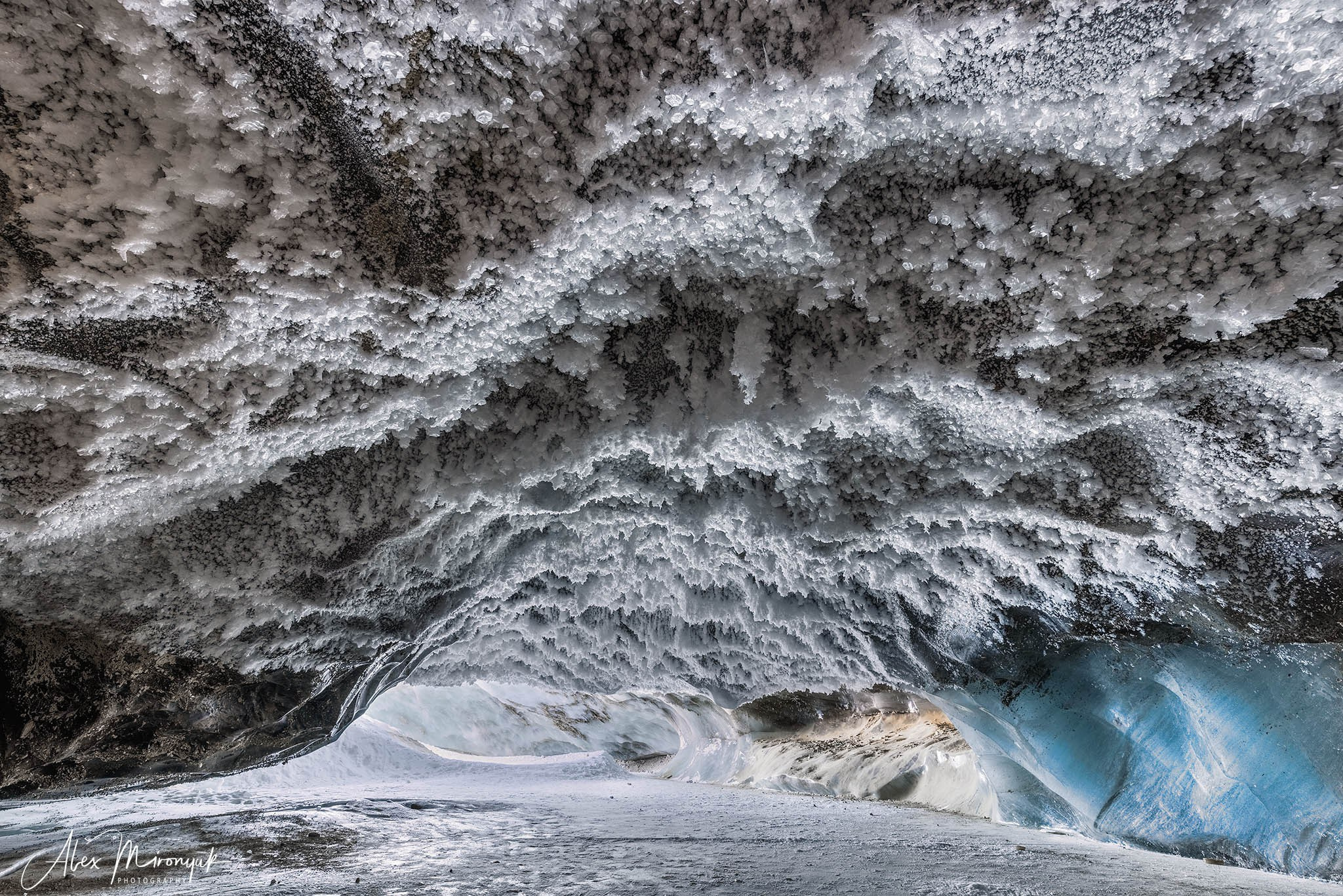 Chasing the Aurora Borealis. Pet, Senior, Landscape, portrait studio, photographer in Miami and Sou