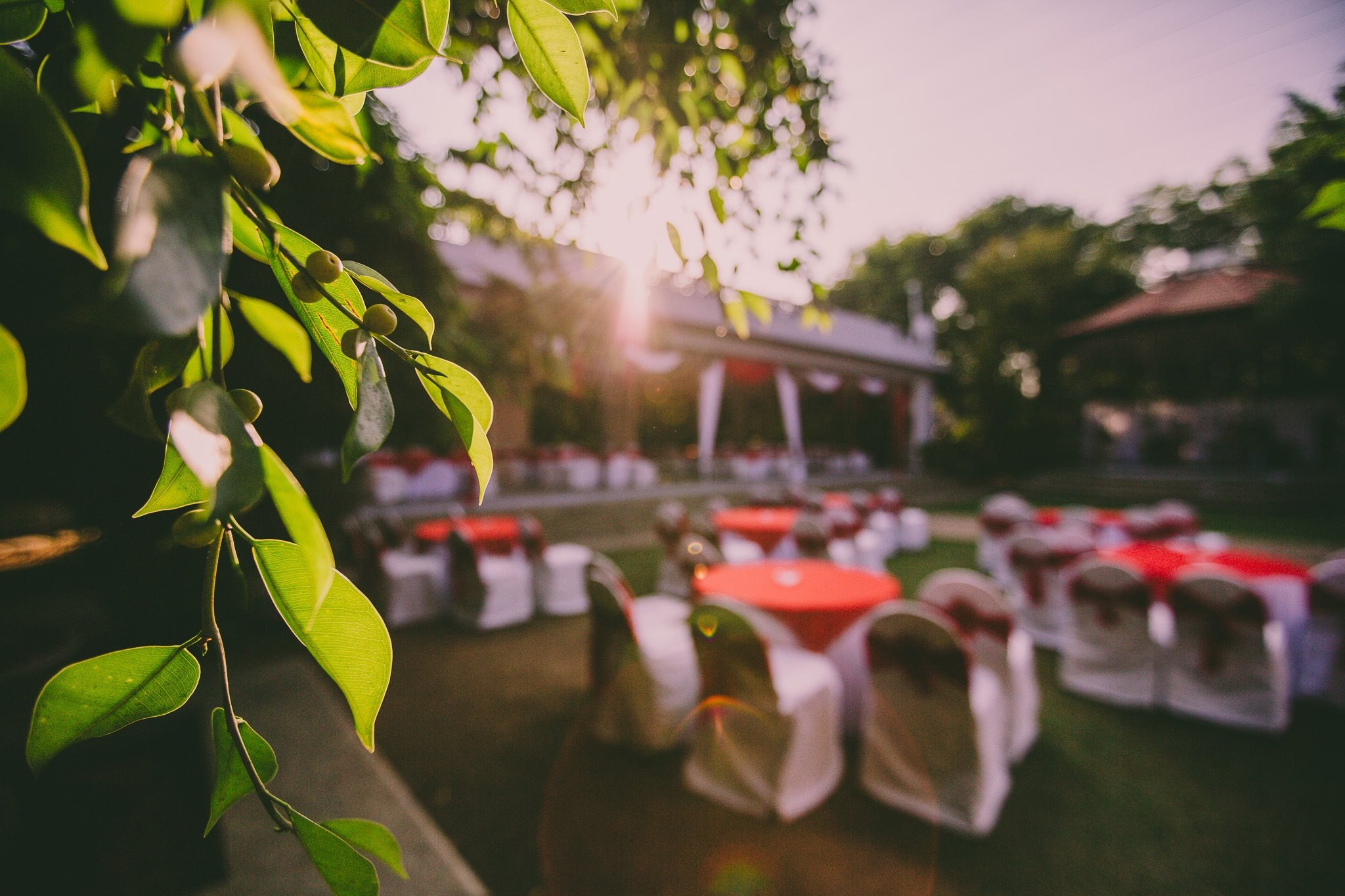 An intimate destination wedding at The Tamarind Tree, J.P Nagar, Bangalore