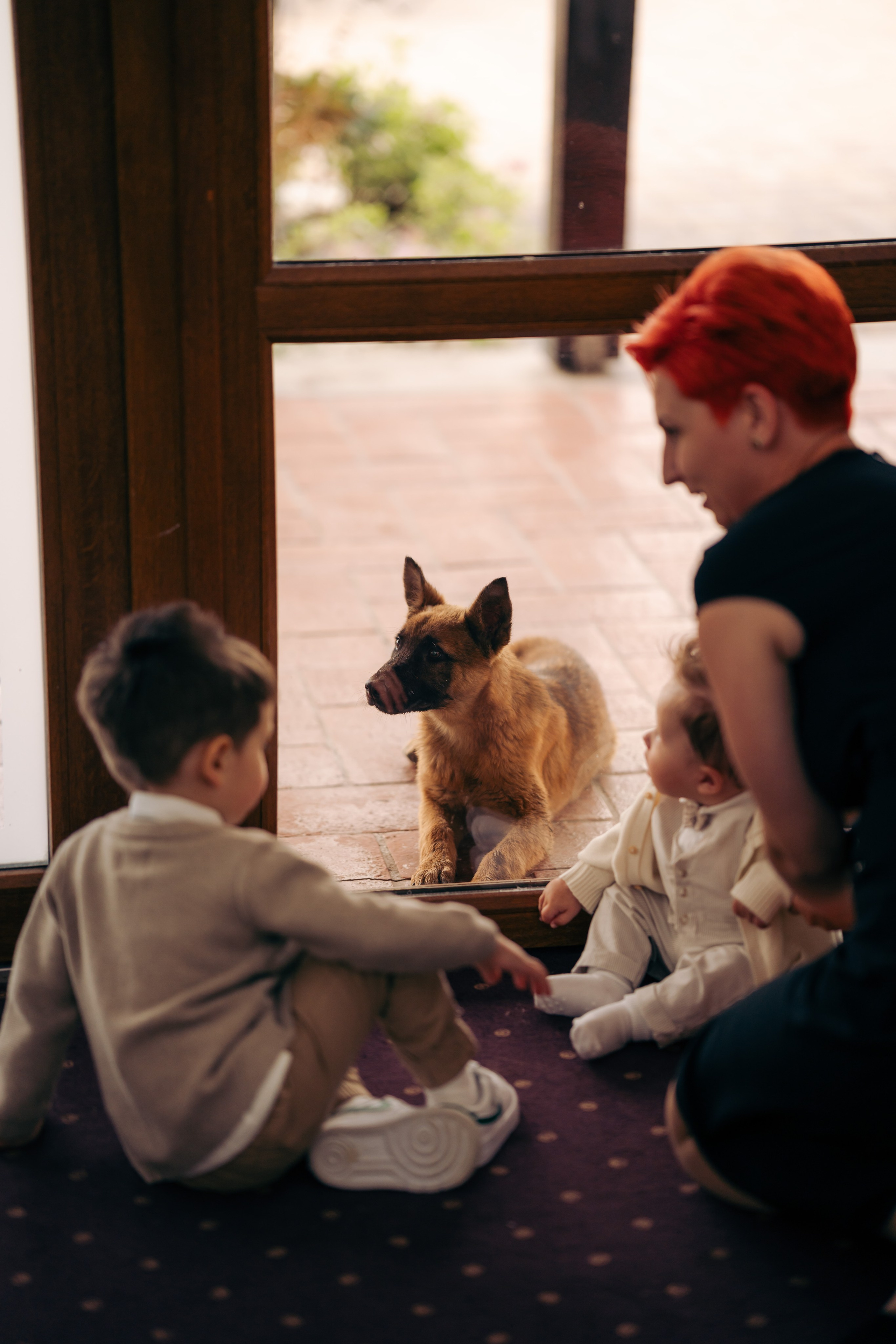 Tudor. CC Photography \ Fotograf Profesionist \ Evenimente