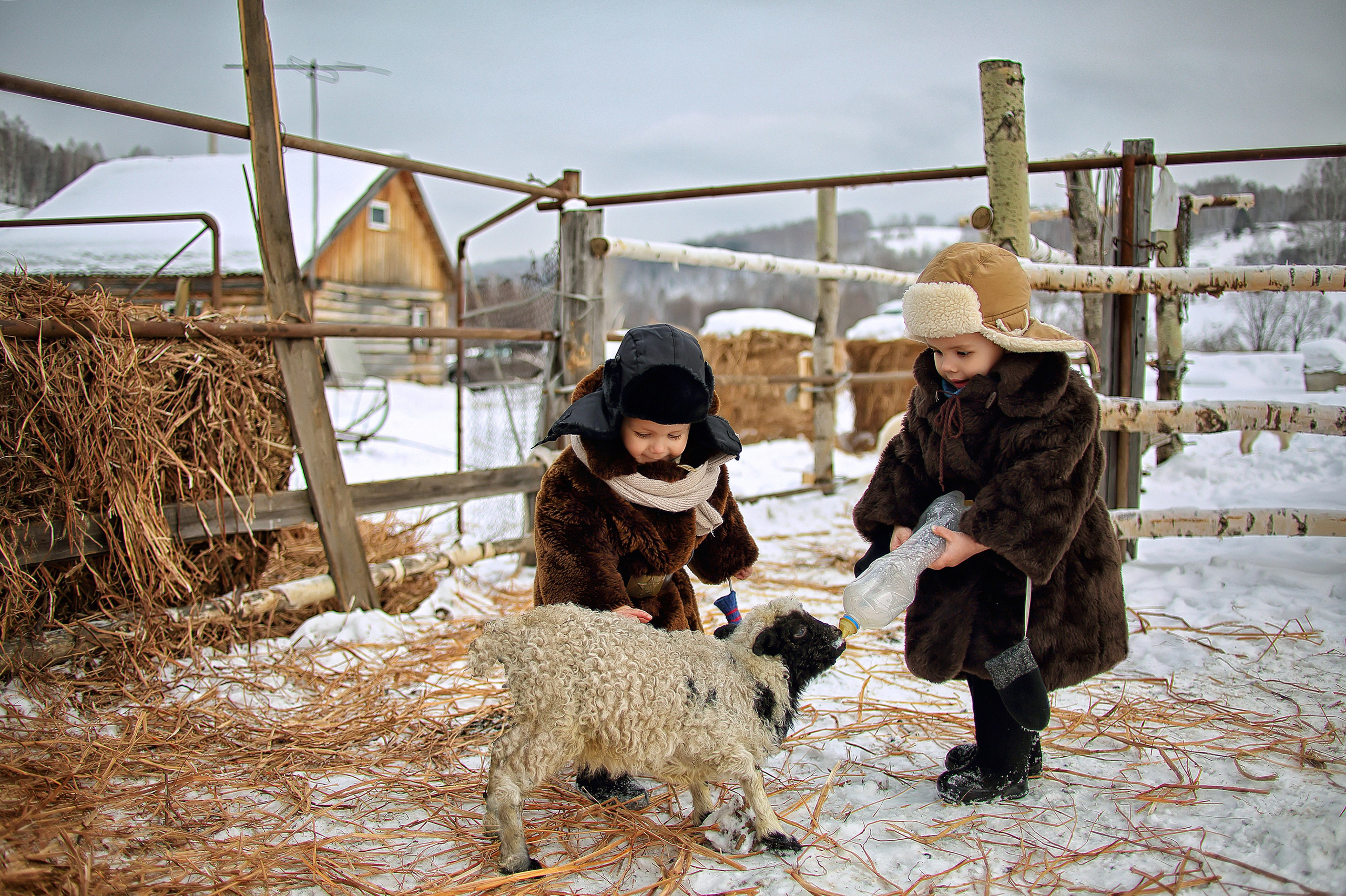 Братья. Татьяна Колчанова | Профессиональный фотограф в Новокузнецке