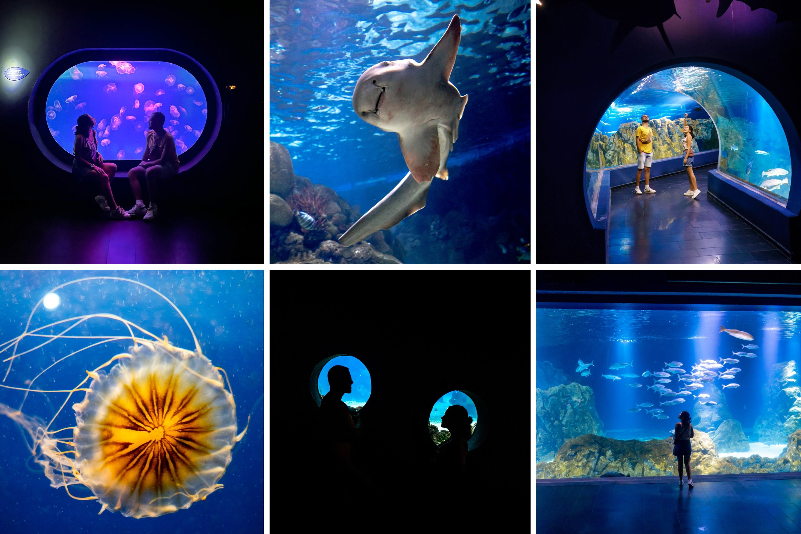 Mediakit @weportugal