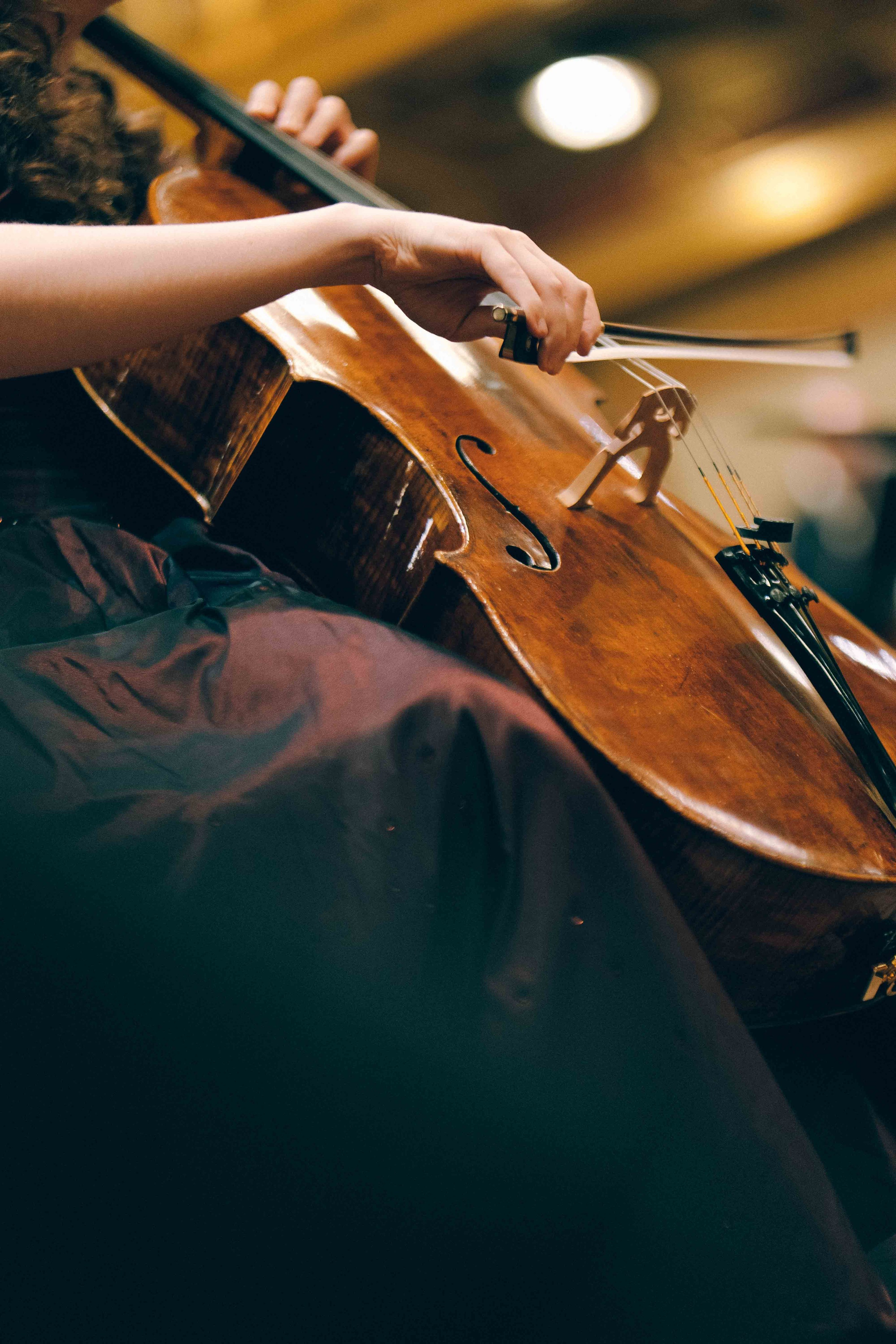MUSIKVEREIN (VIENNA). Wedding&Event photographer Ismail Rzayev in Baku
