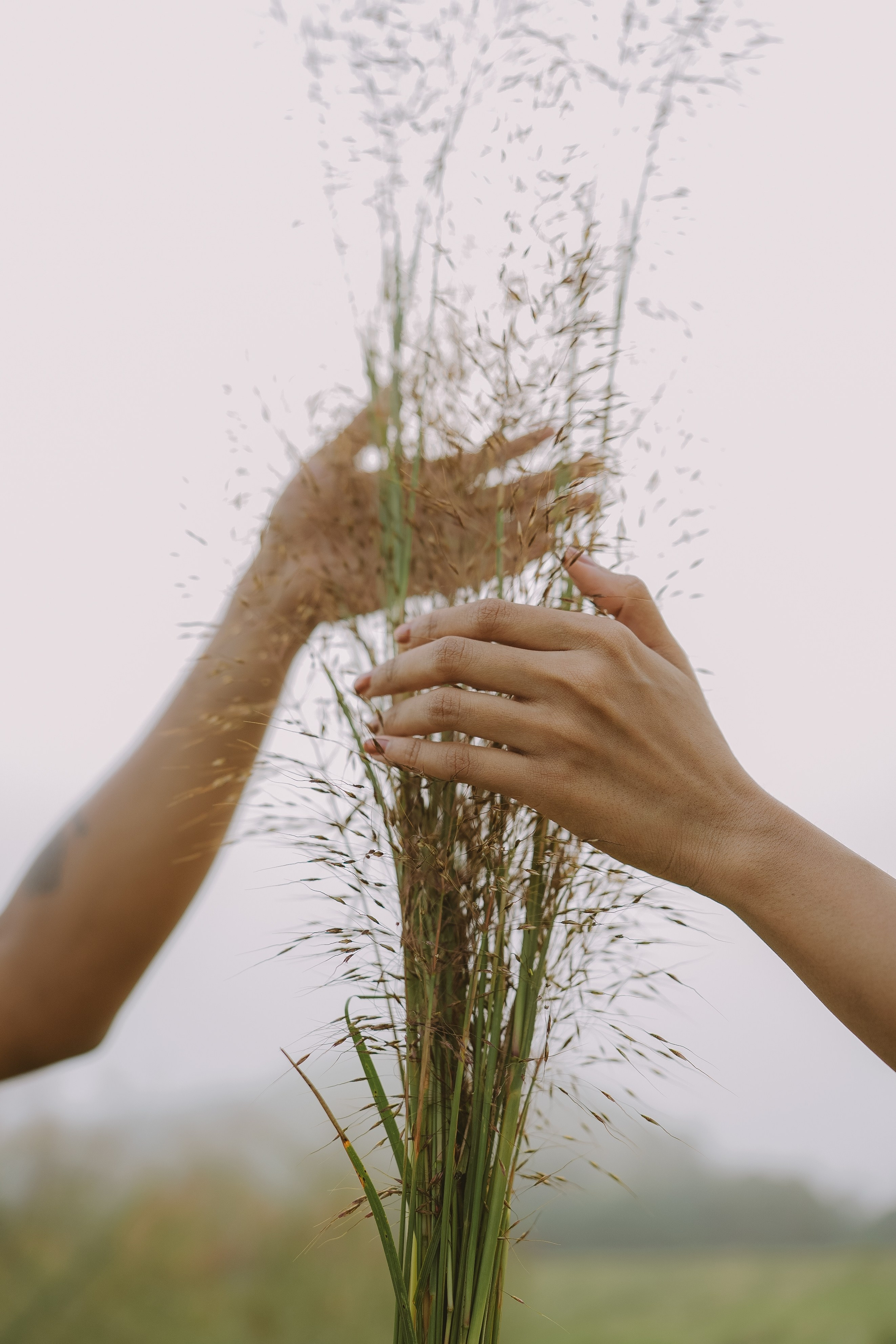Valley of Love!. Fine art Wedding Photographers in India & Canada