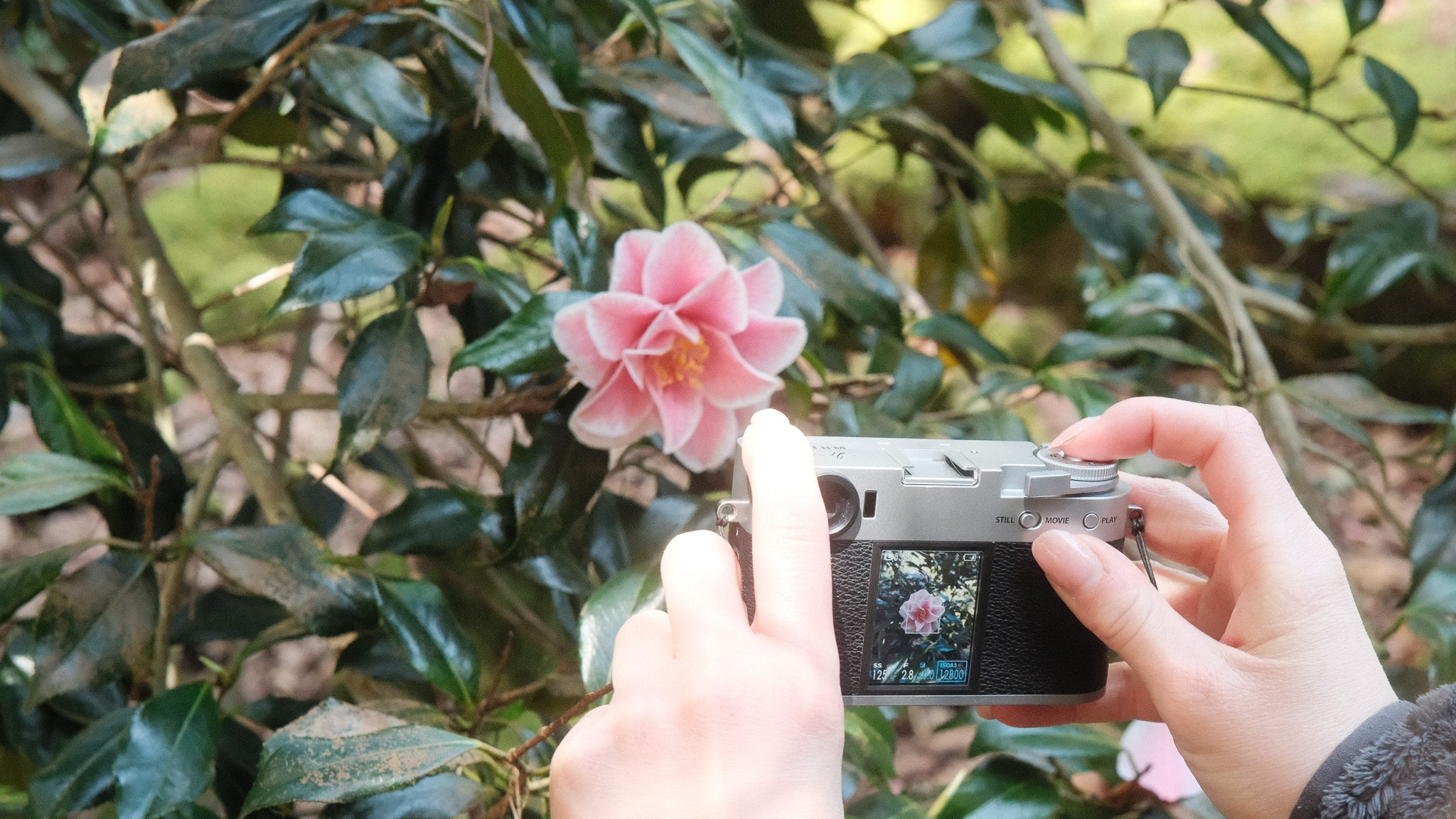 Wales Road Trip 2026. Callum Ecobichon