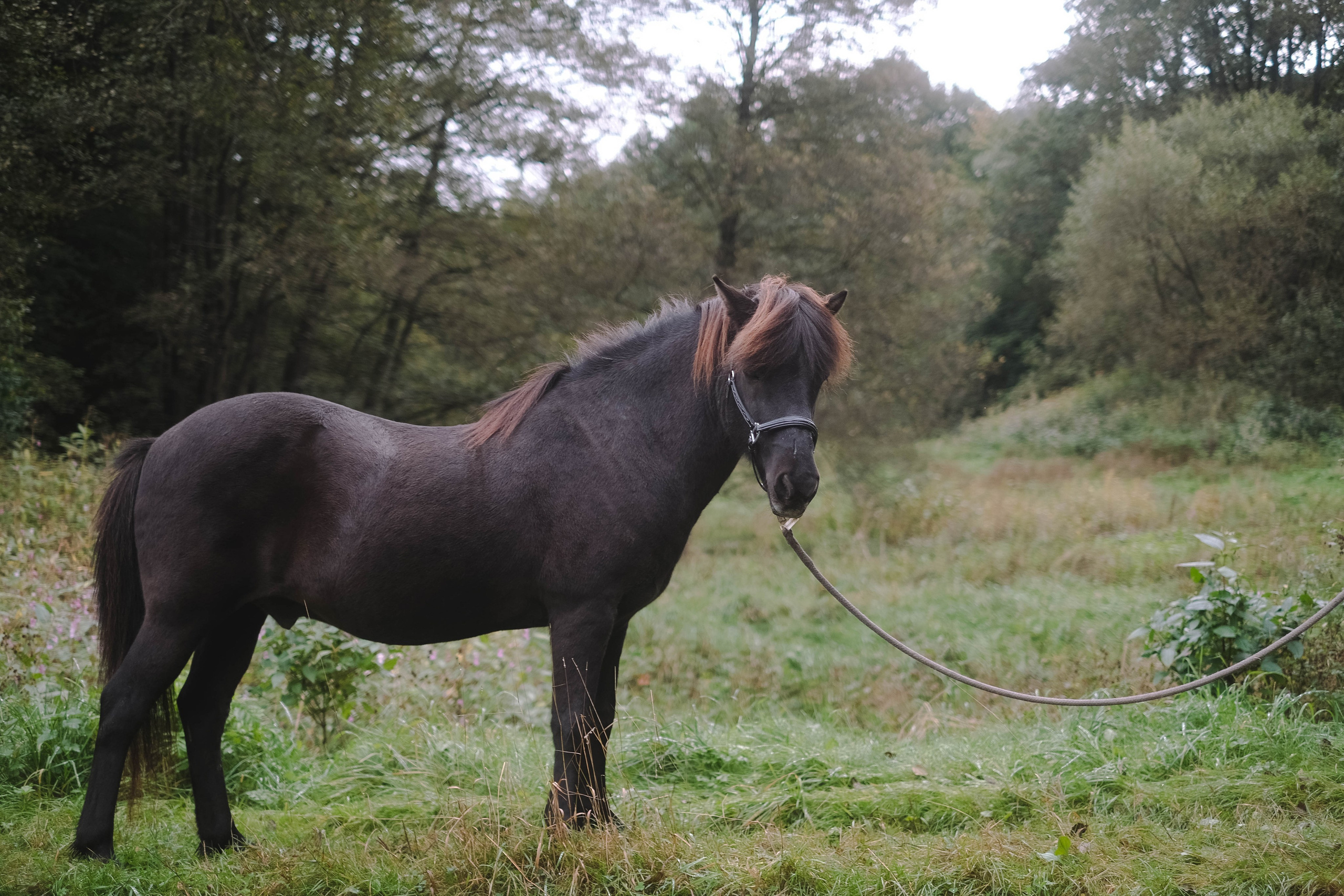 Paula, Fynn&Steve. Authentische Familienfotografie in Köln