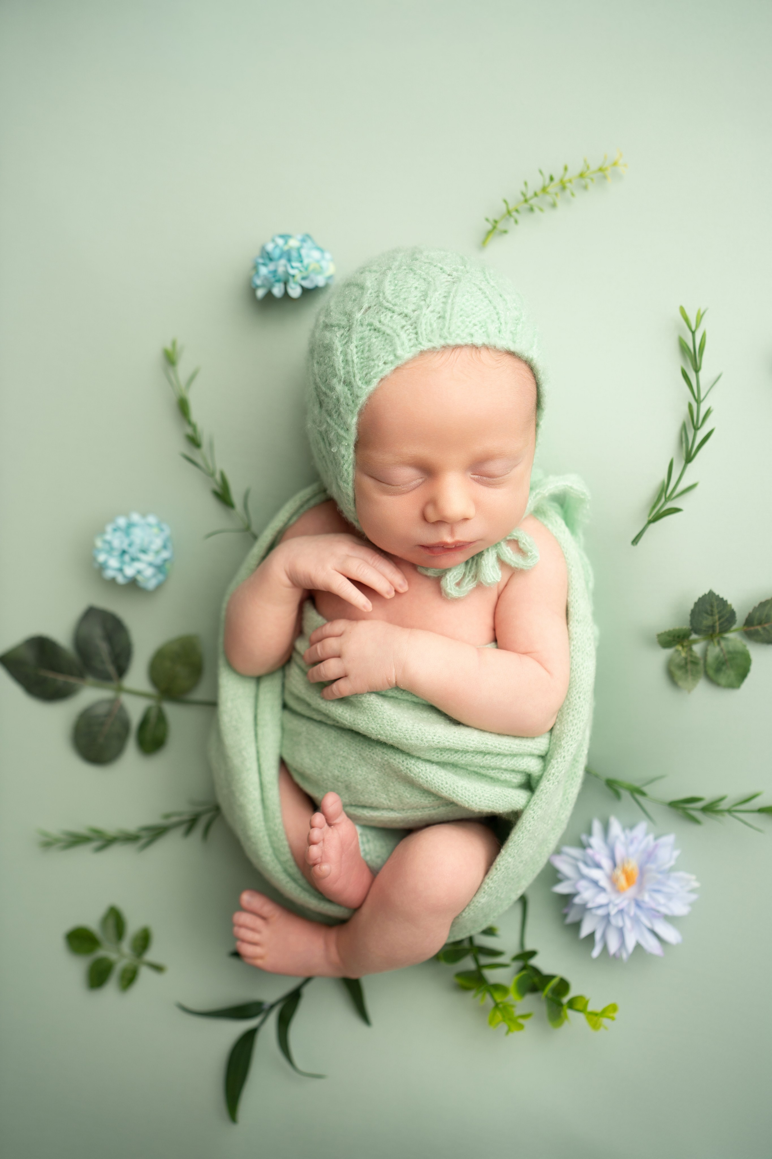 Posed Newborn. Maternity, family and newborn photography in San Francisco Bay Area