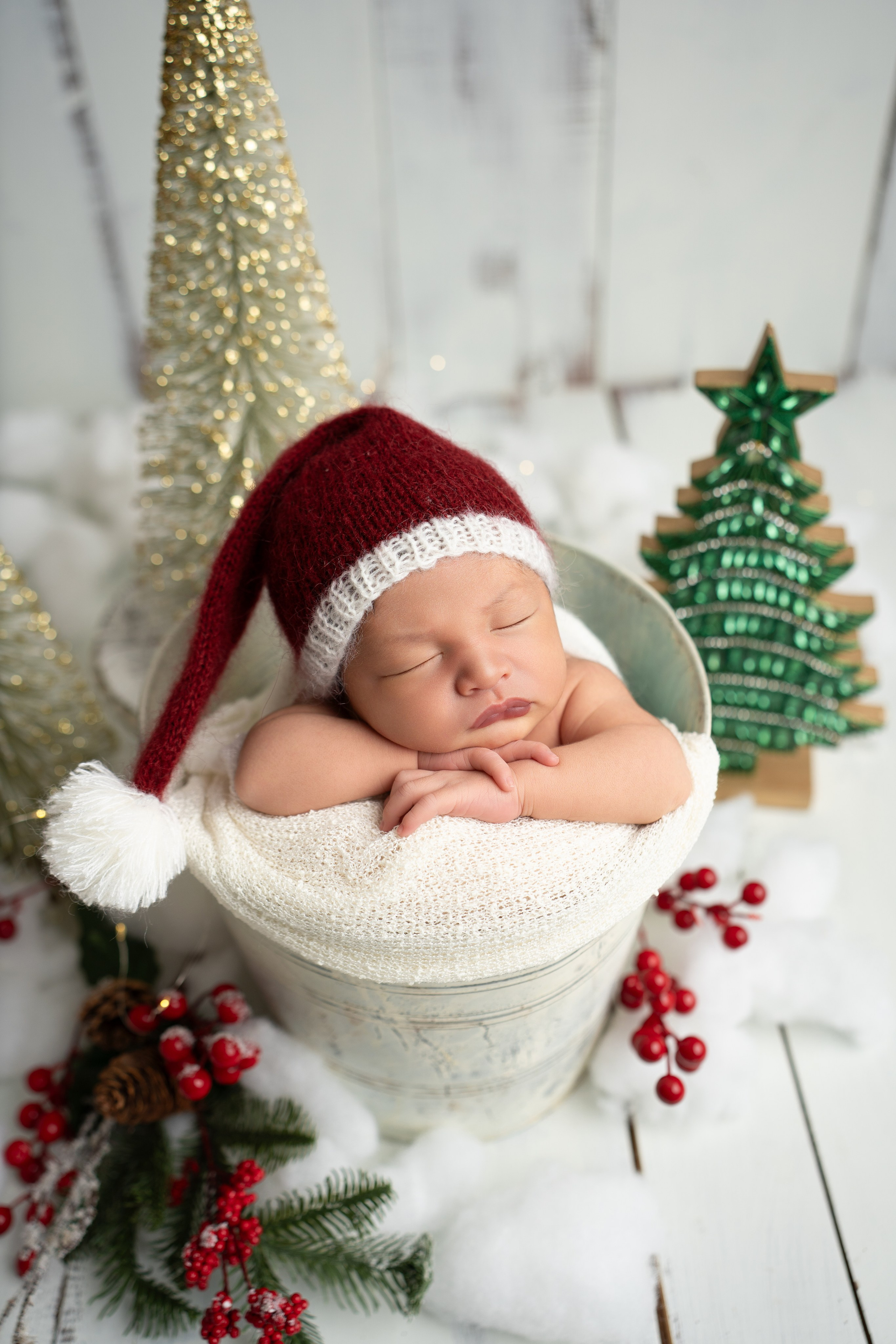 Posed Newborn. Maternity, family and newborn photography in San Francisco Bay Area