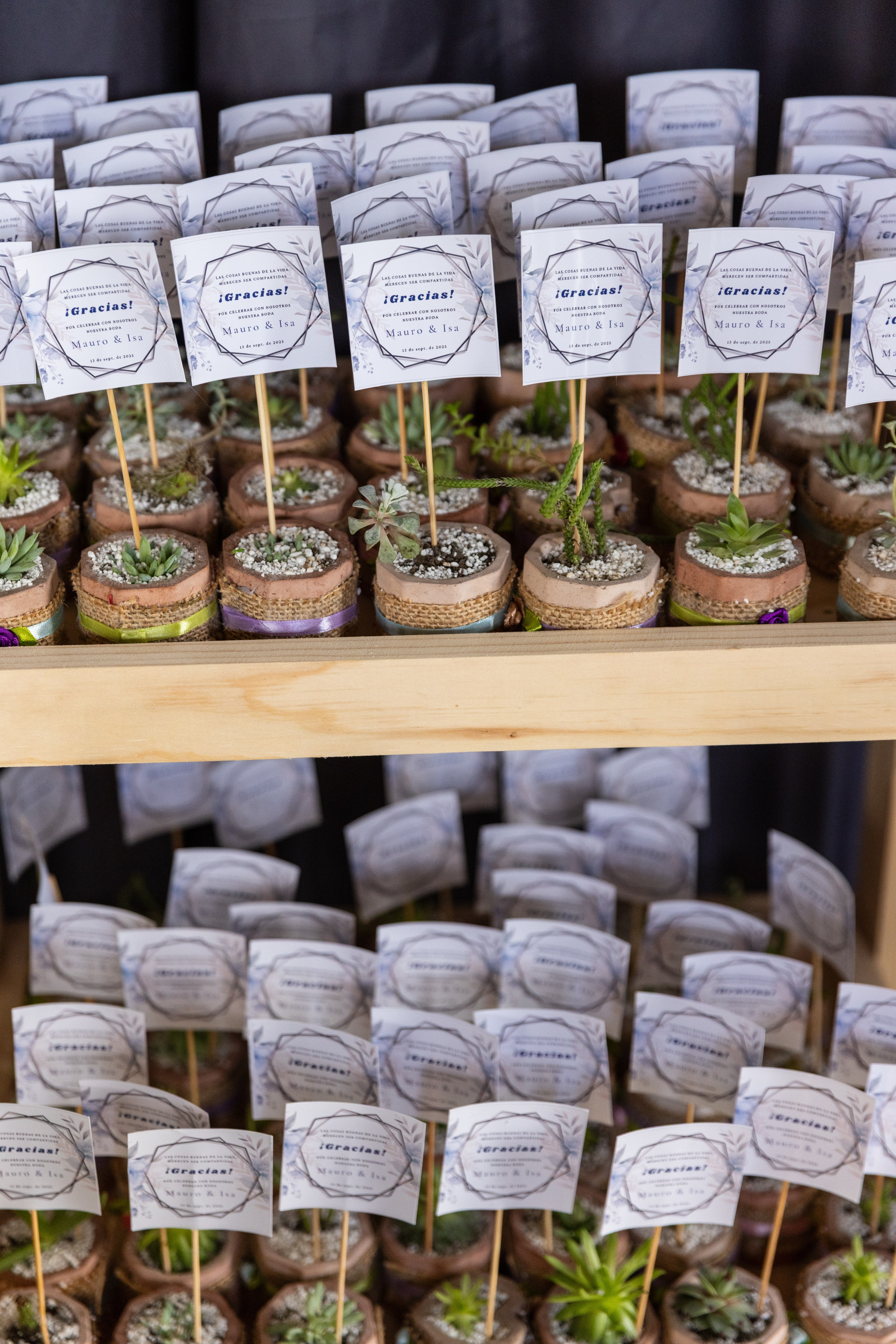 Isamar y Mauro. Dinka & Emilio - El arte de preservar lo que no se repite