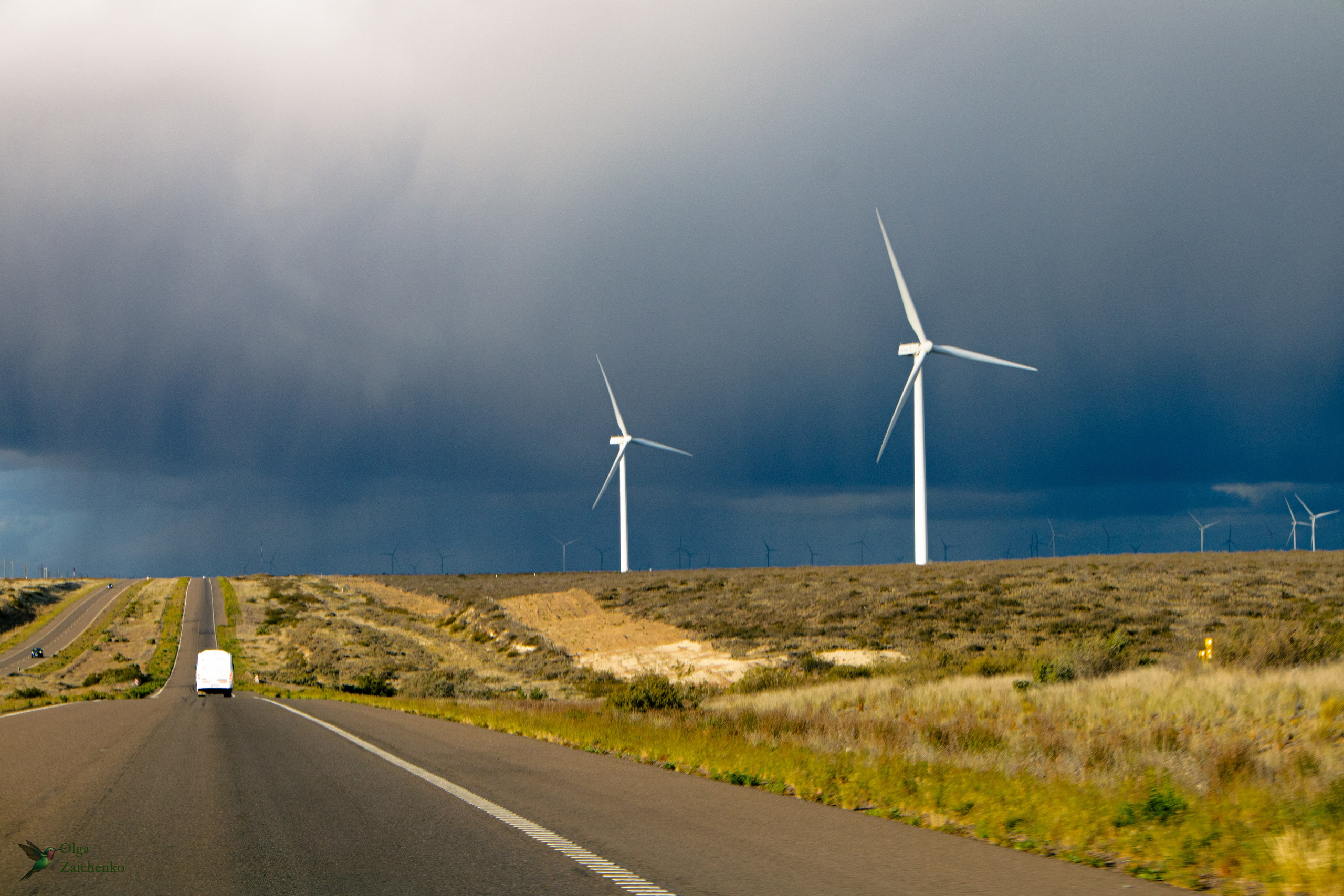 Пуэрто-Мадрин. Фотограф в Буэнос-Айресе