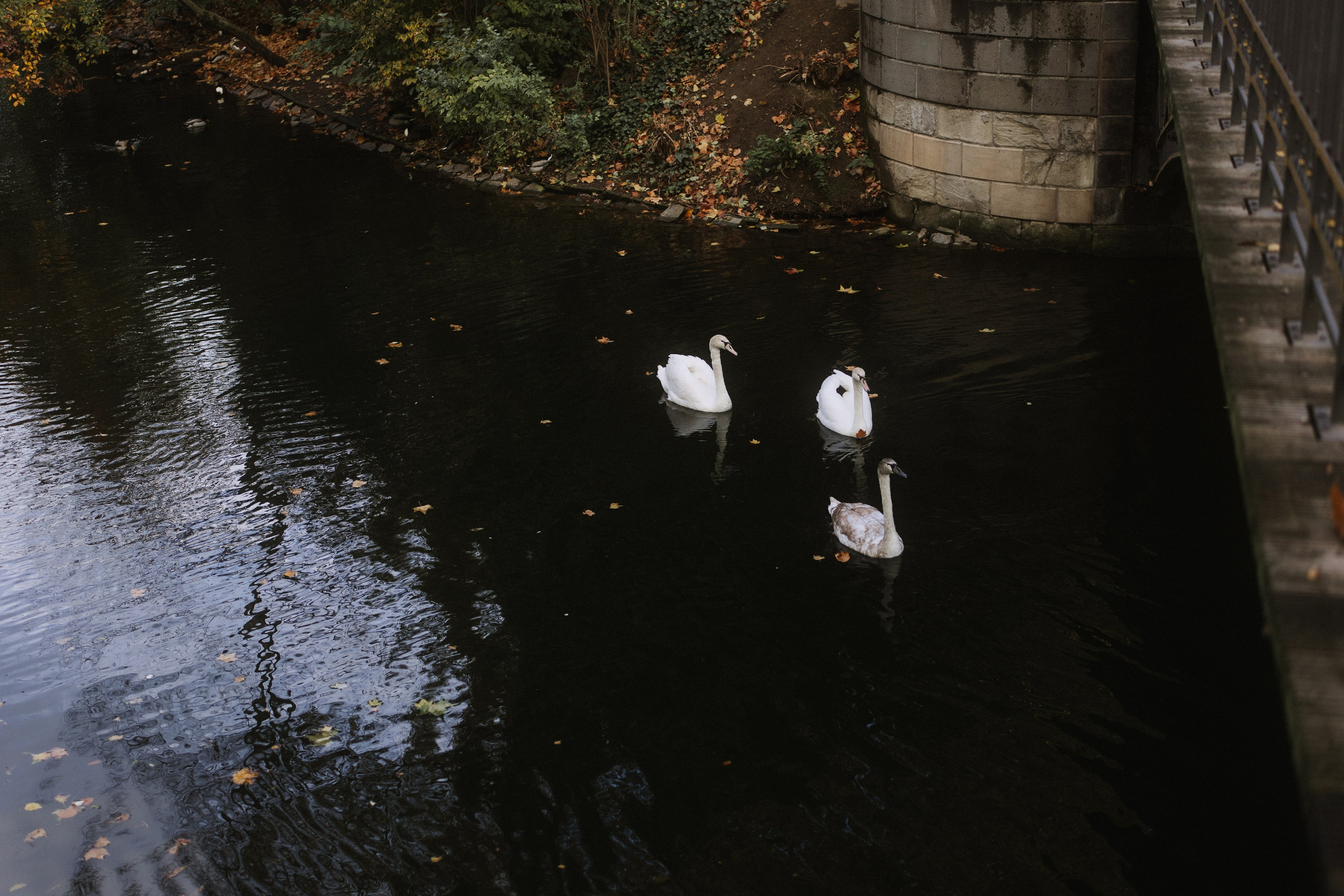 Hannah & Kai Düsseldorf. Hochzeitfotografin Düsseldorf, NRW Nadja Holzmann