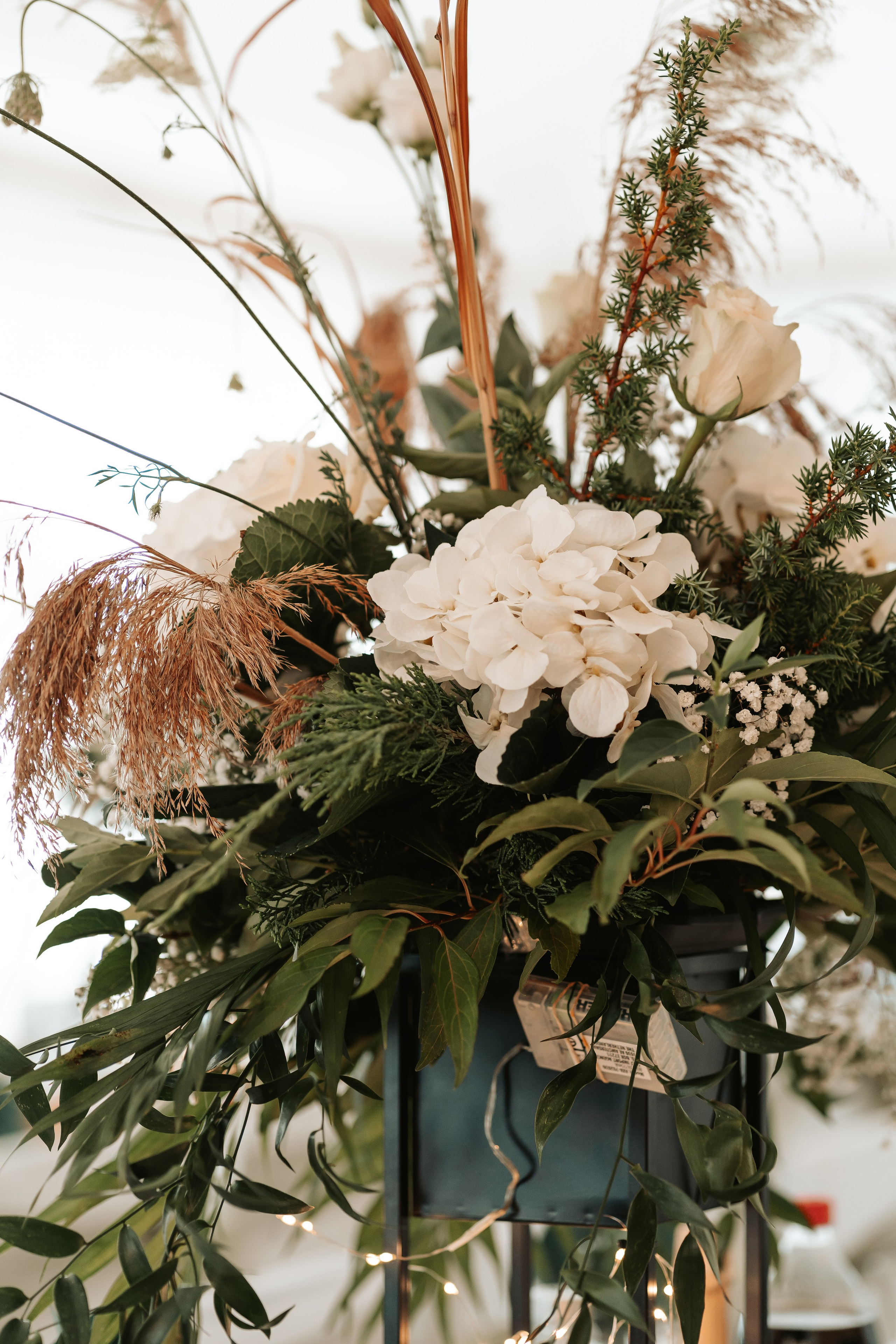 S&D. Montenegro photographer and videographer