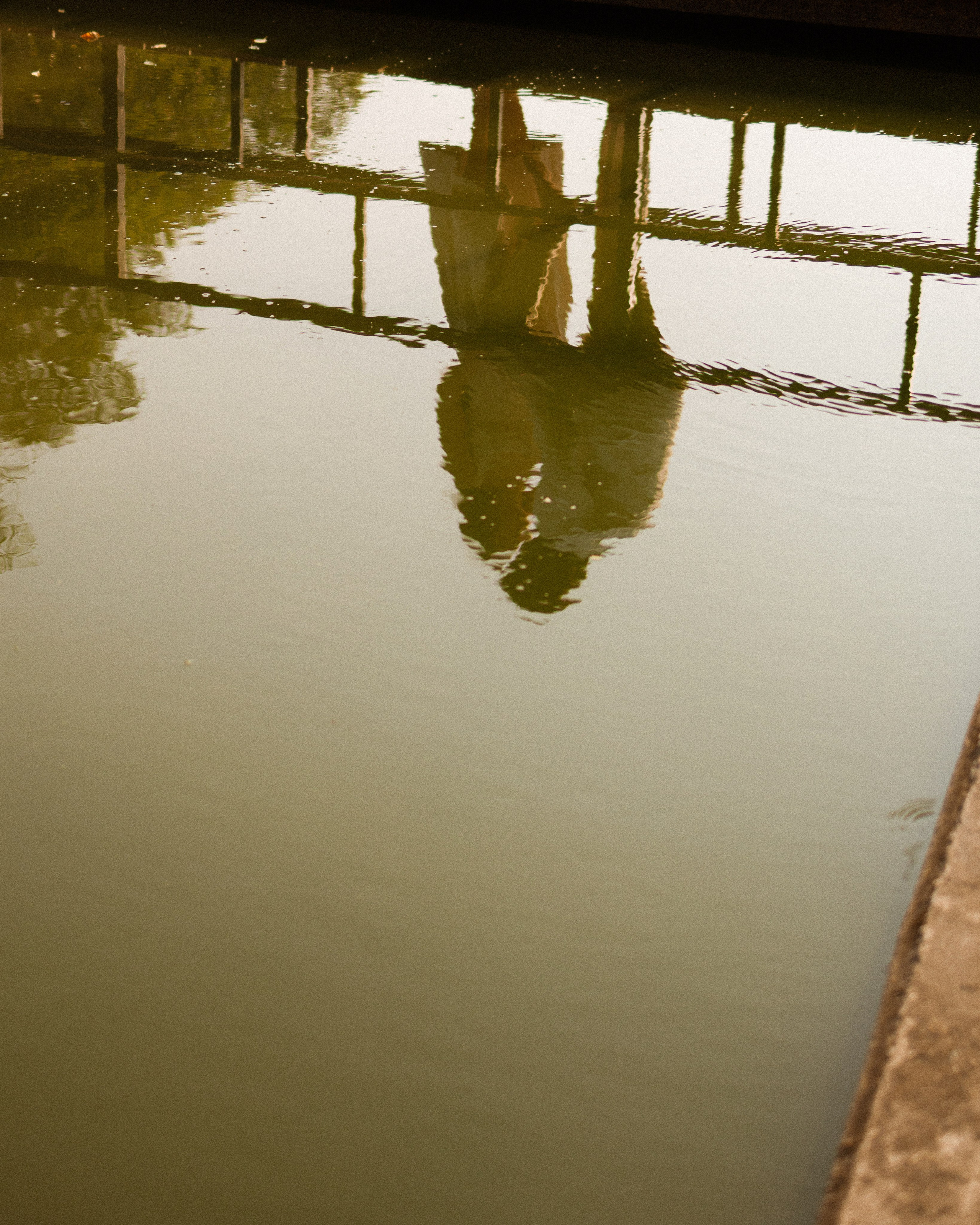 S & N. Family and wedding photographer in Bangkok, Thailand