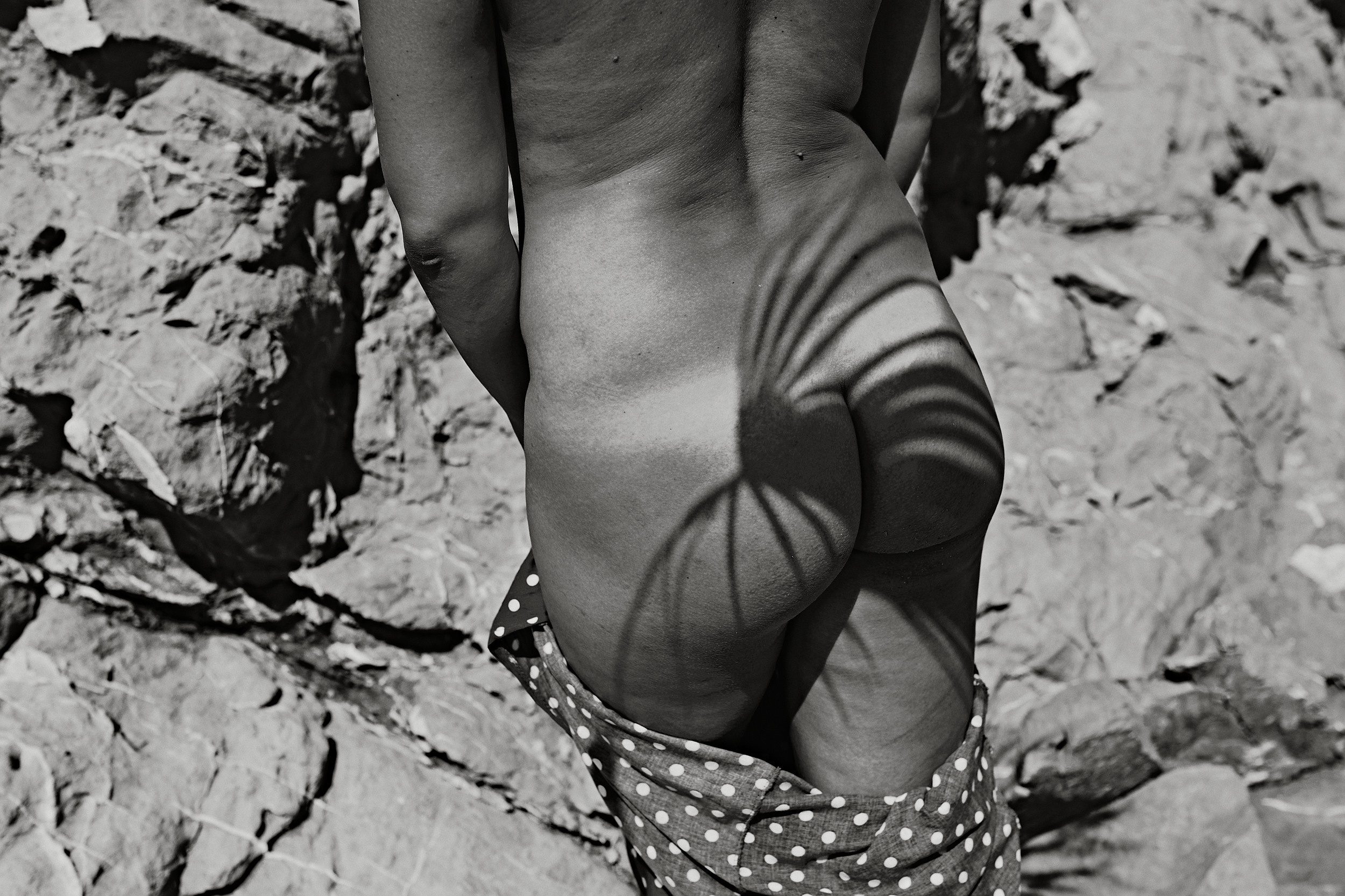 Antonina. PÁGINA PRINCIPAL