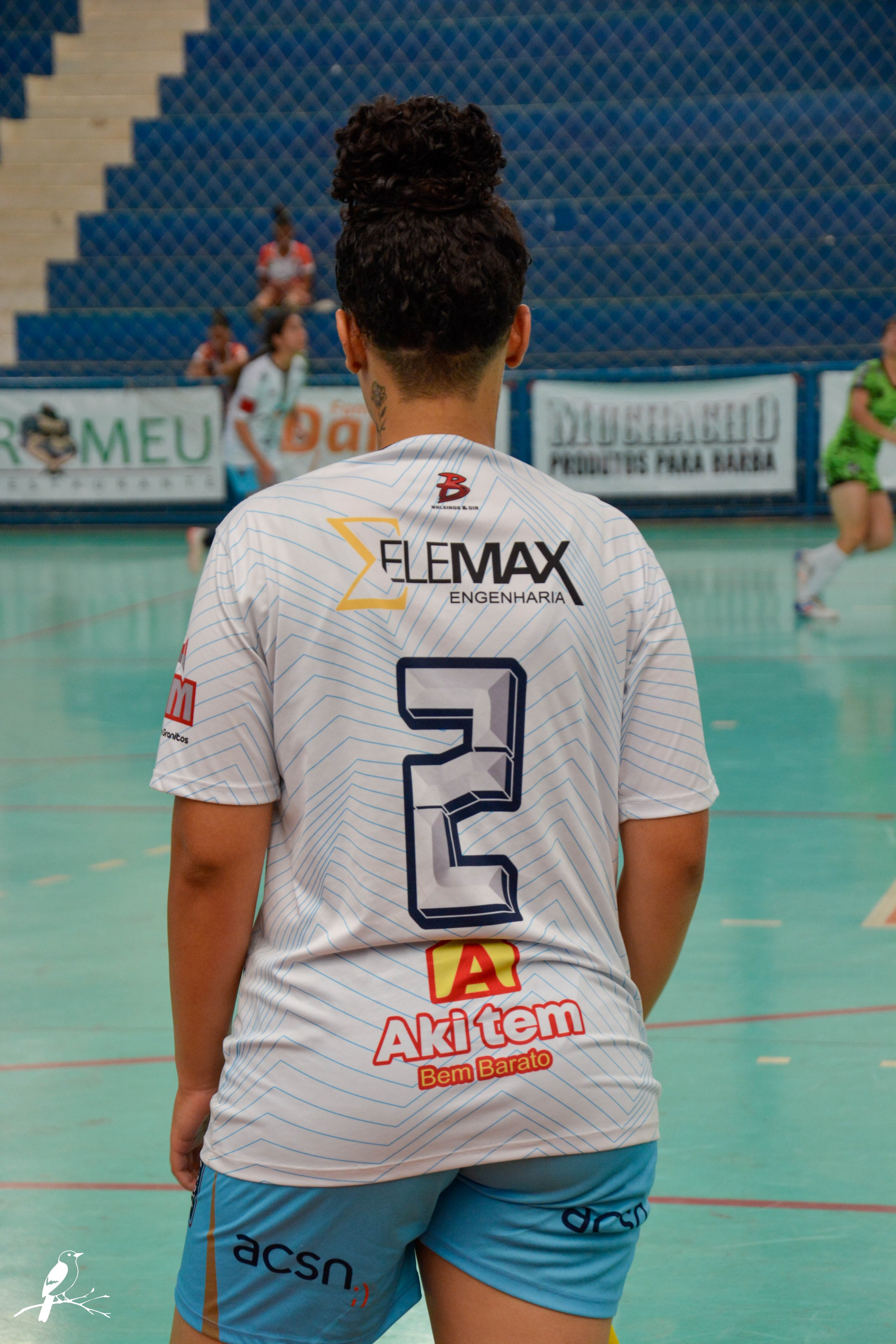 Sub 18 (Victor savala). AerobirdStudios