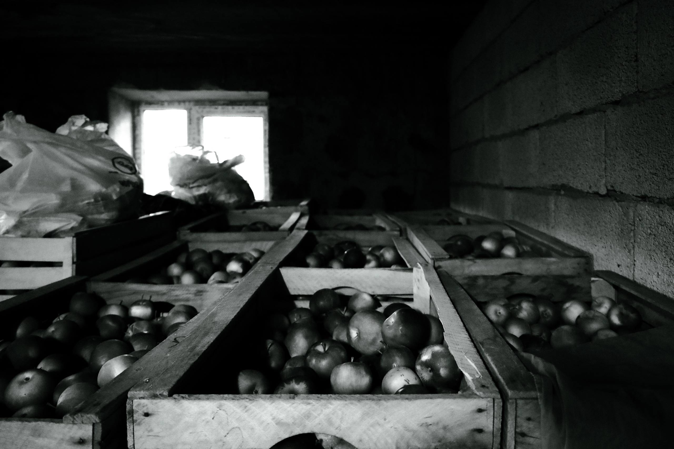 Factory reportage (hand-crafted cider). Asmikiam