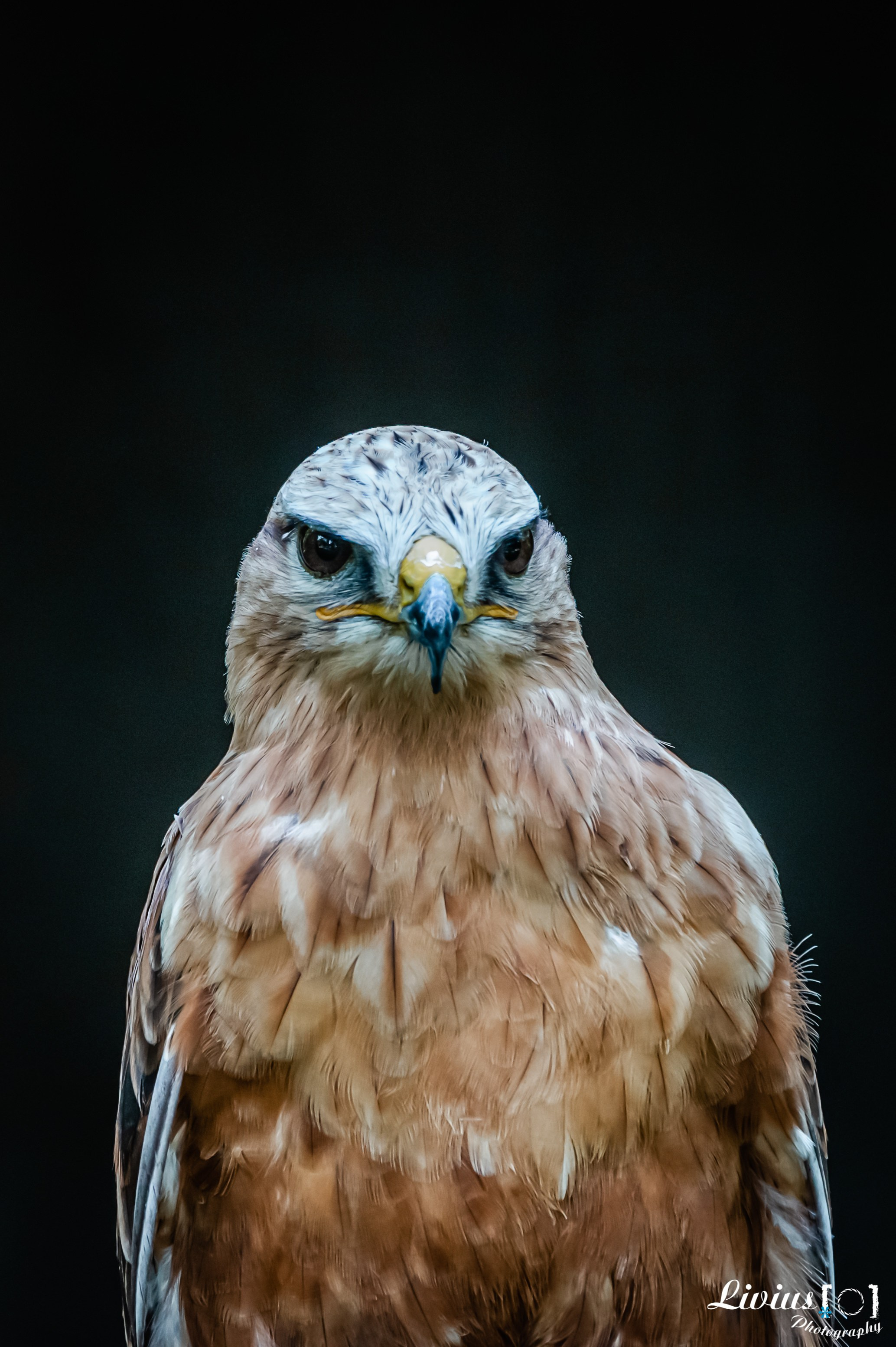 Wildpark Tambach. FOTO KREATIV