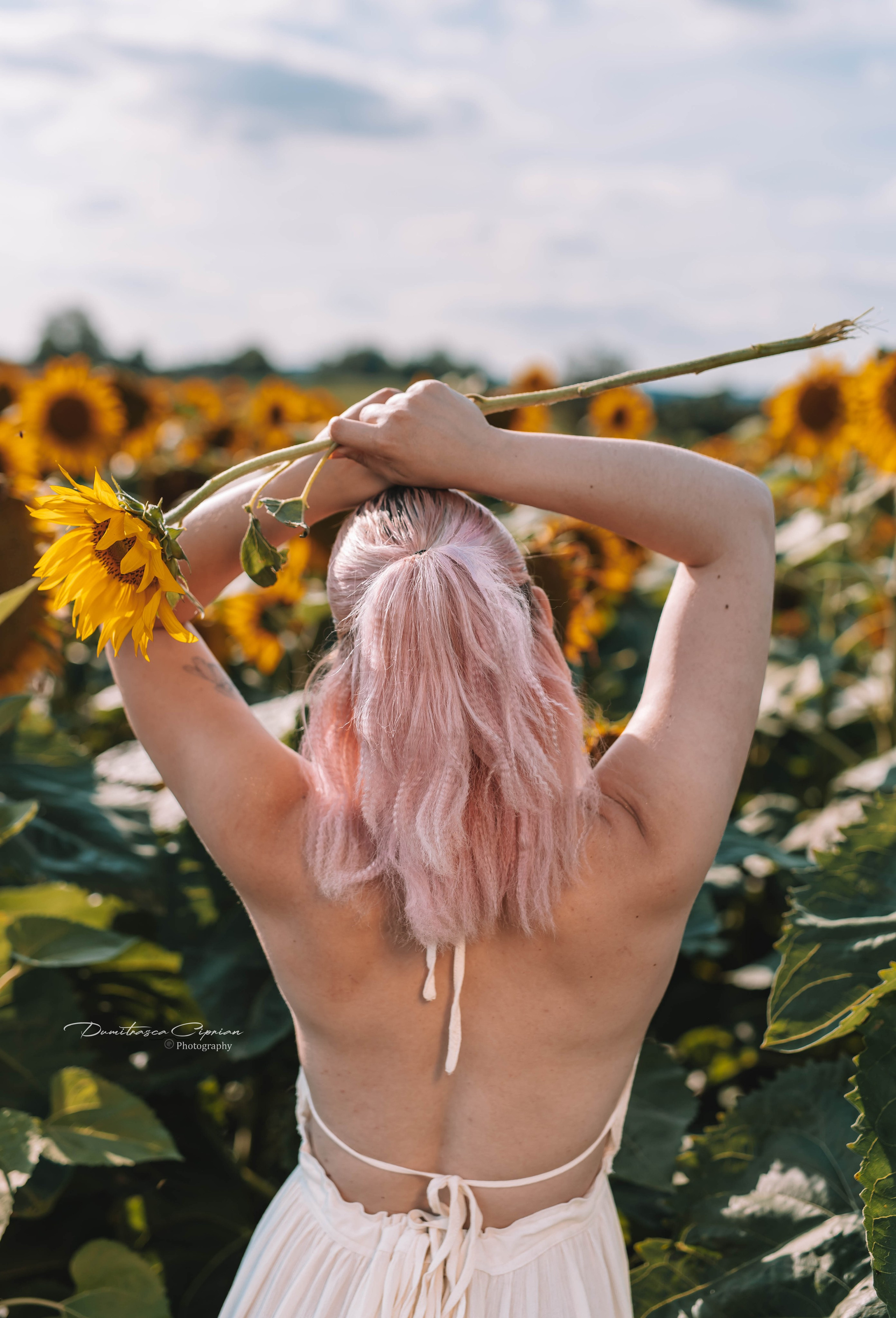 Two souls in love among sunflowers. Dumitrasca Ciprian Photography