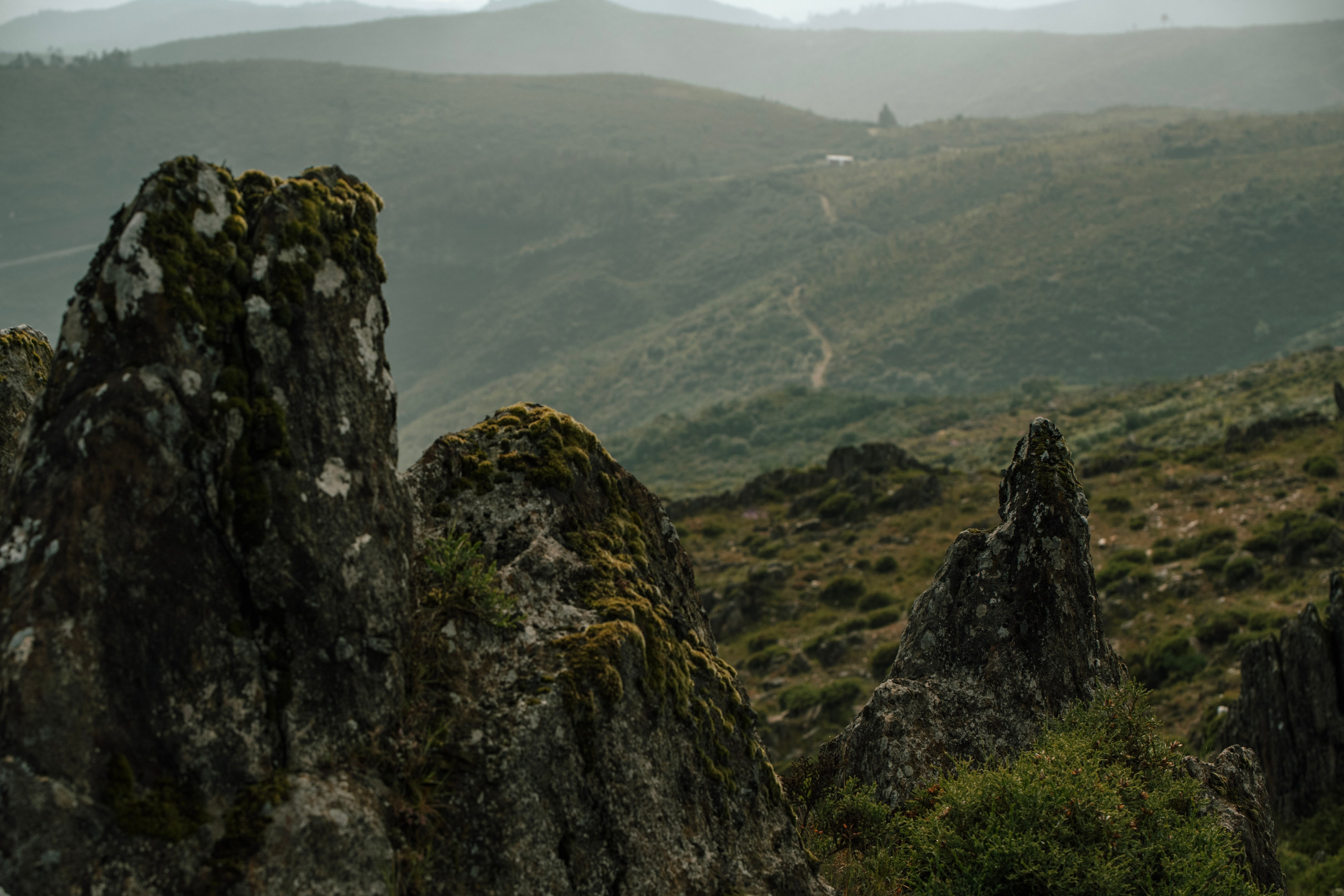 SOFIA and VALTER. Arouca. Anastasiia Antoniuk portrait, family and couple photographer, Portugal