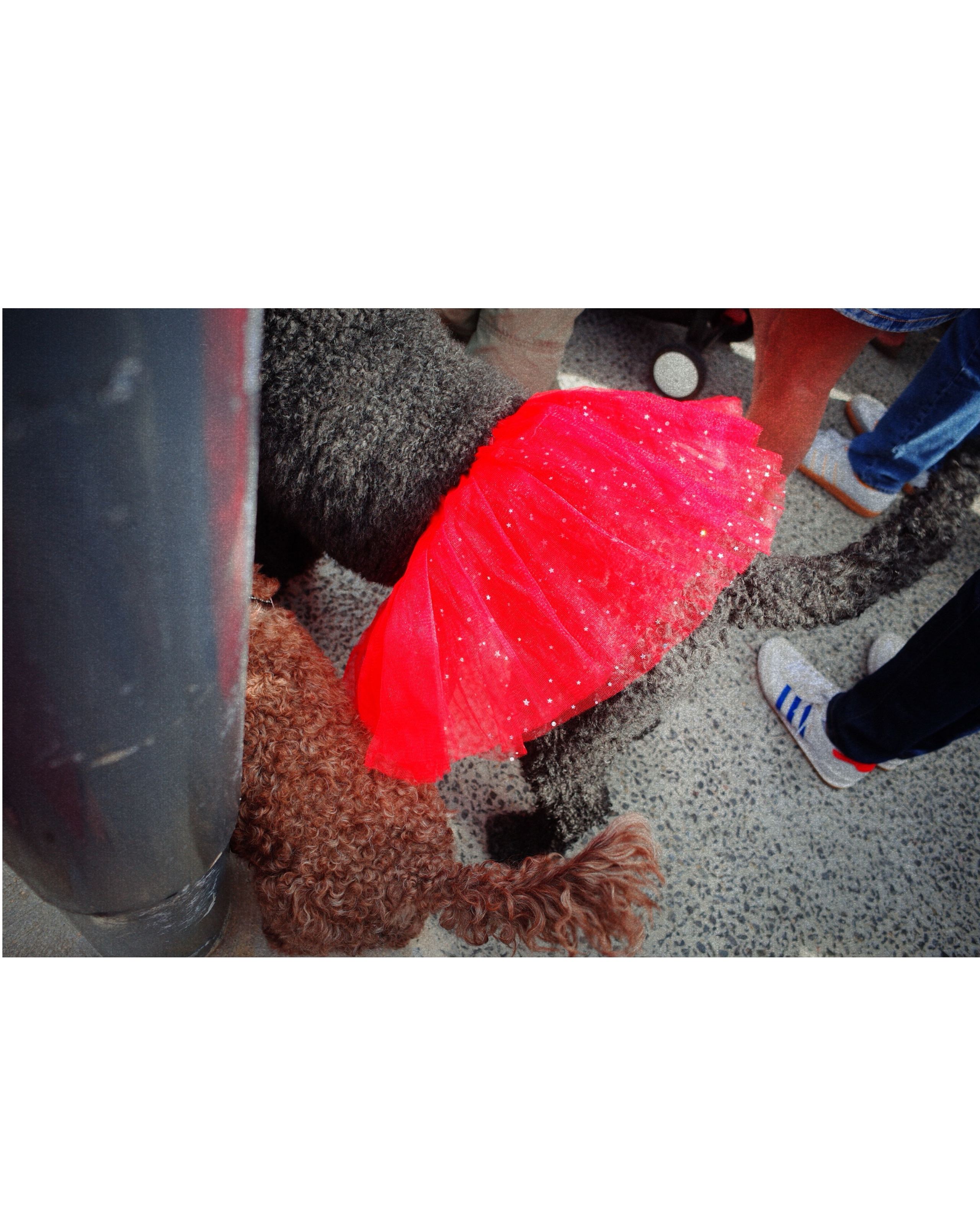 Wuthering Kates. Victoria Dini. Art photography in London / Folkestone, UK