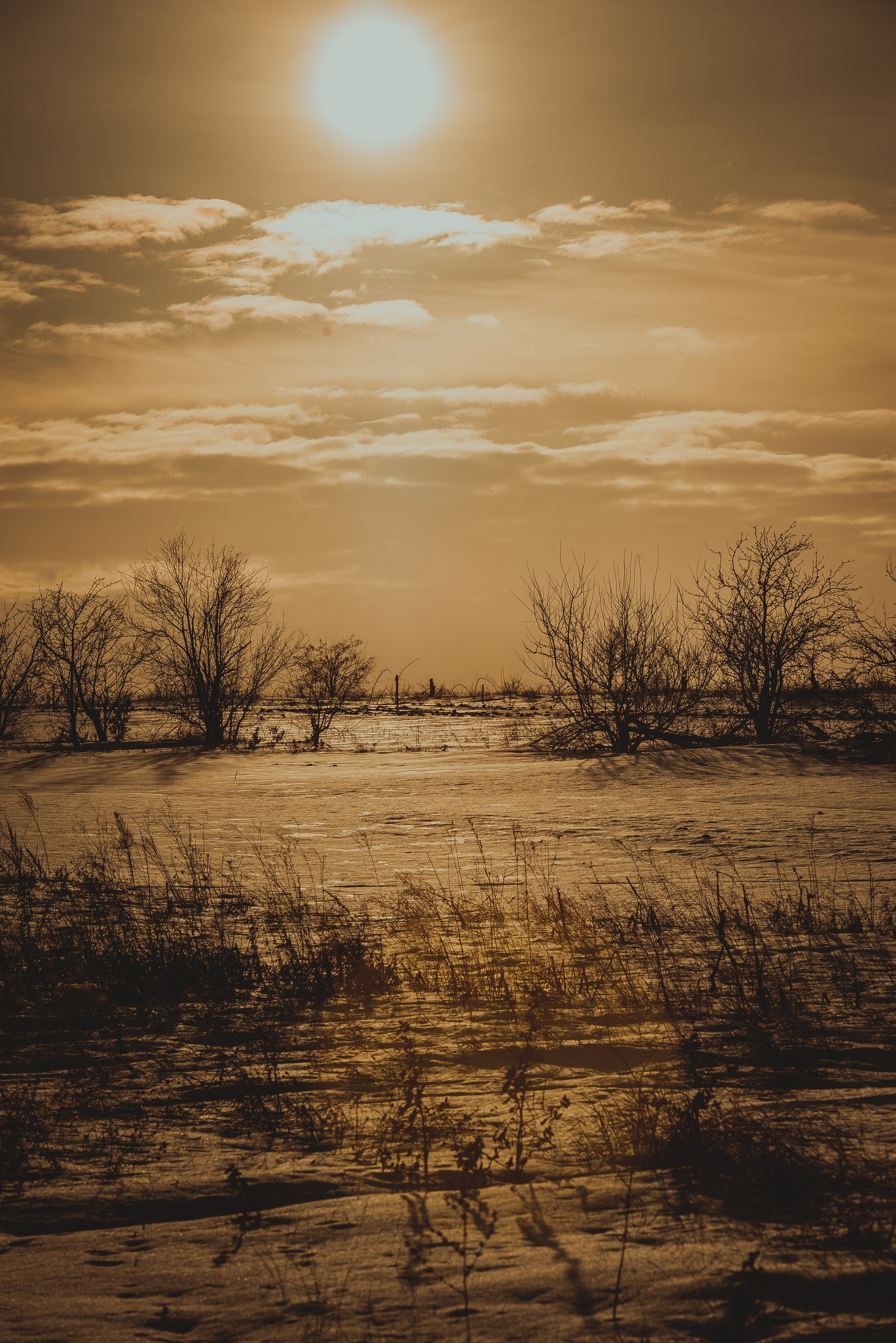 Chisinau. Fotograf de familie Vitalie Budoianu