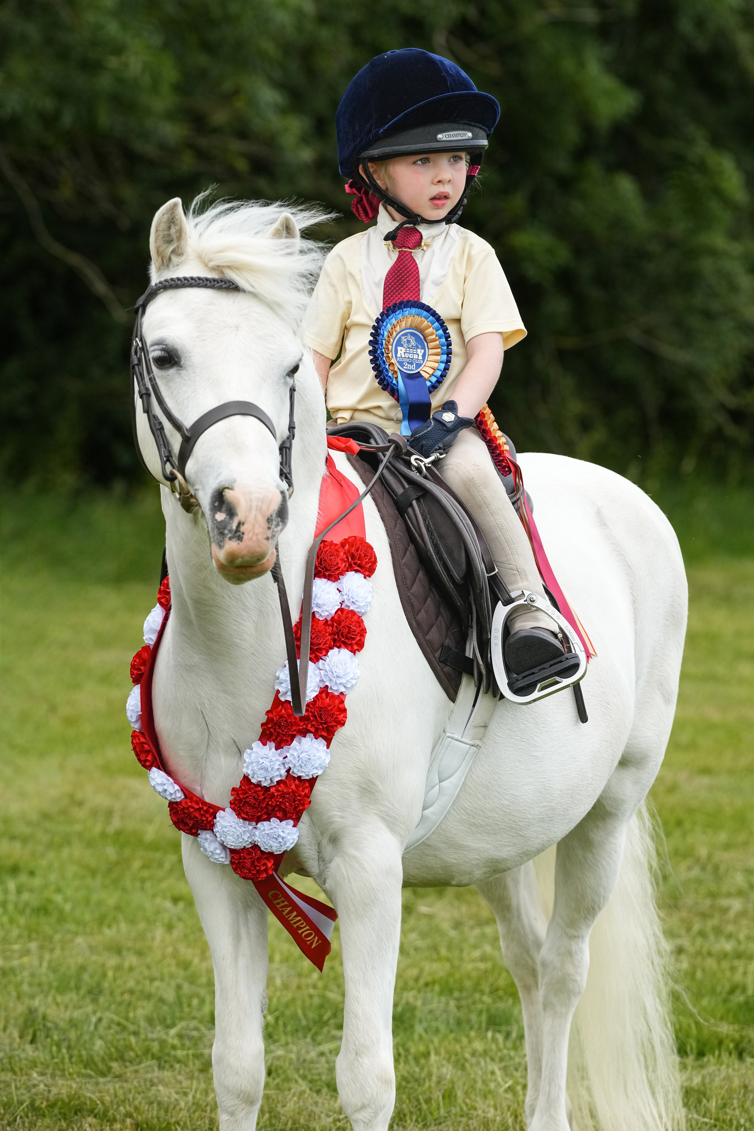 Showing. Leicestershire Equine Photography by El | Authentic Equine Portraits & Events