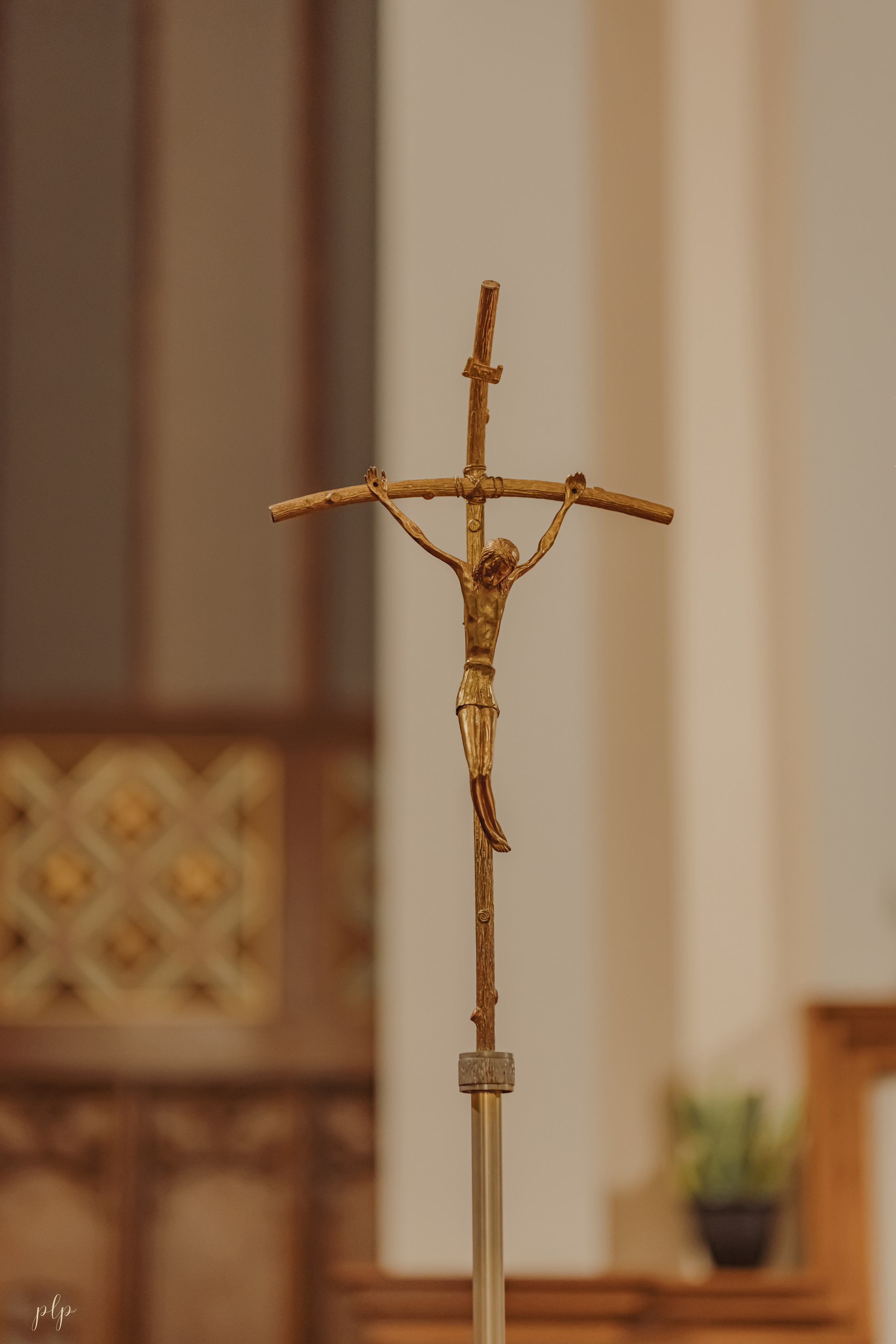 Indrani & Marc. Wedding Photographers and Filmmakers