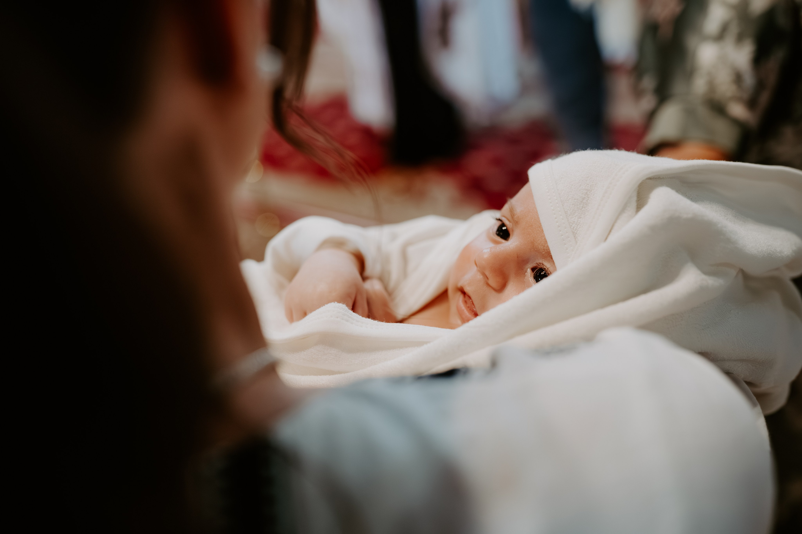 Bogdan Constantin. Catalin Brinza