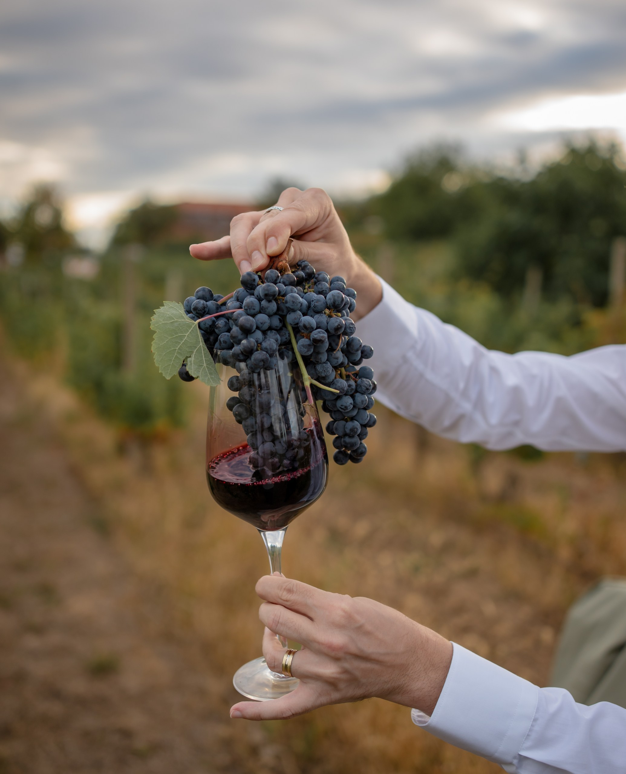 Fotografie Nuntă Profesională | MOMENTsFILM. MOMENTsFILM — wedding films | Videograf Nuntă București |Fotograf Nuntă București| Botez Evenimente Corporate | Foto Video Nunta