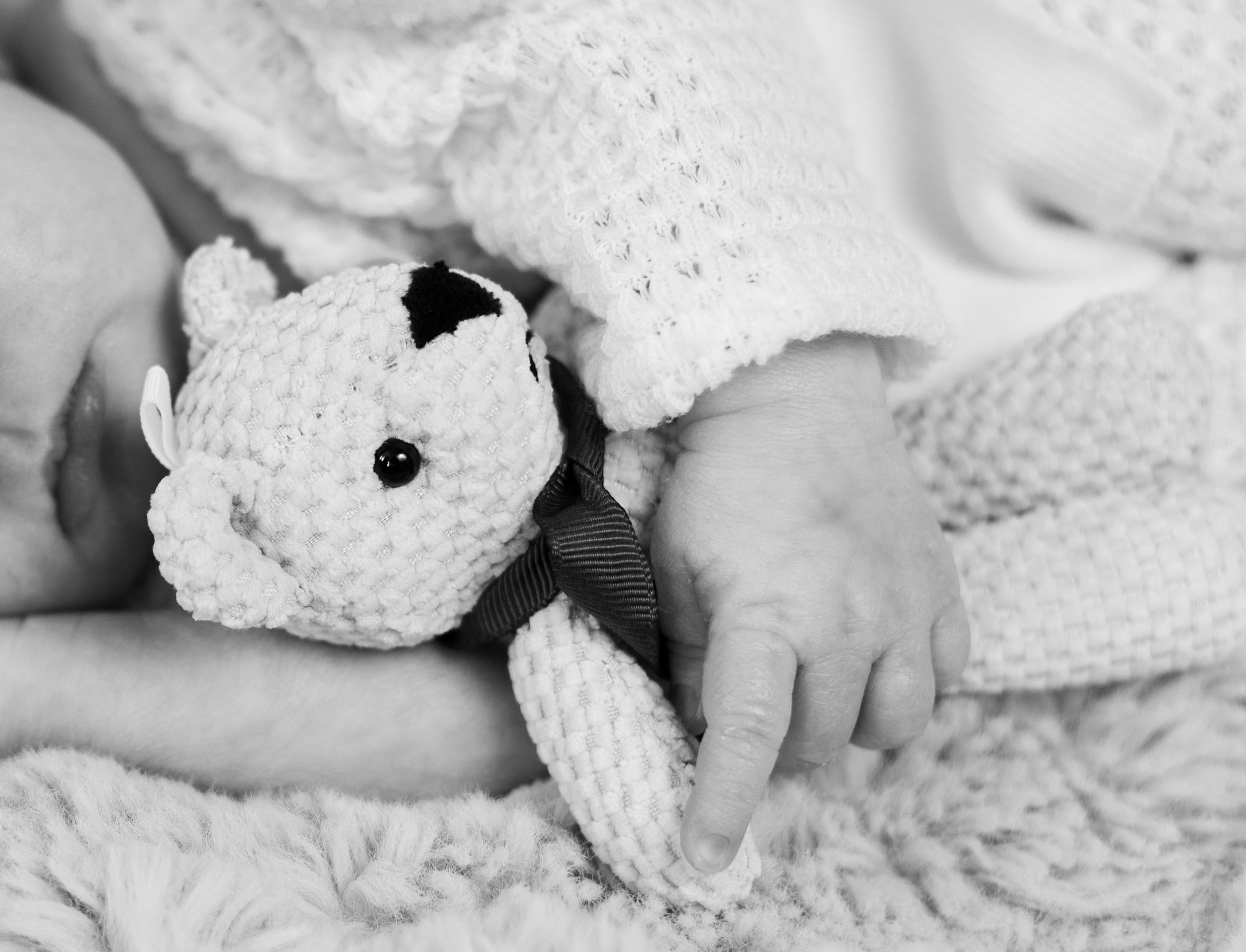 Newborn Photoshoot. Professional Photograher, Antwerpen/Belgium