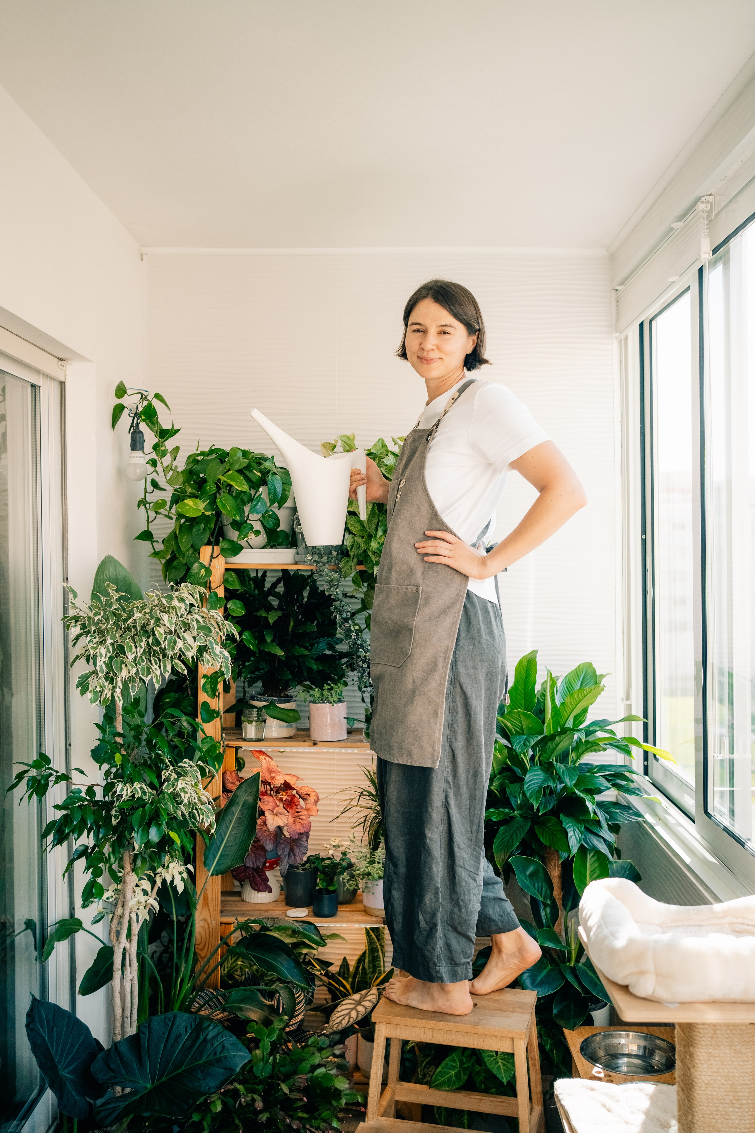 No Drama Plants. Maria Sher. Fotógrafa profissional do Porto, Portugal