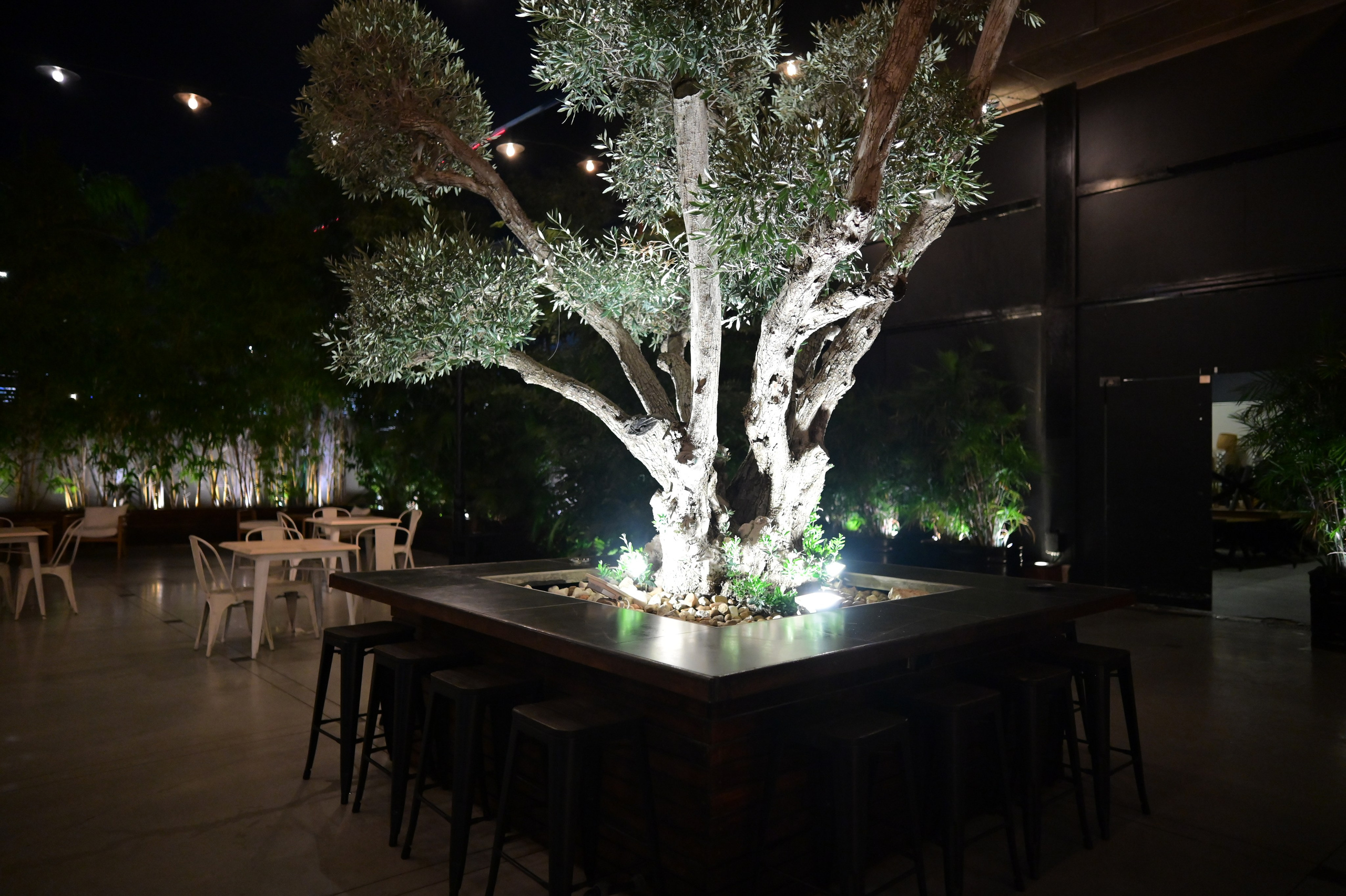 תרין TARIN עיצוב. Wedding and events photographers Studio Shalom