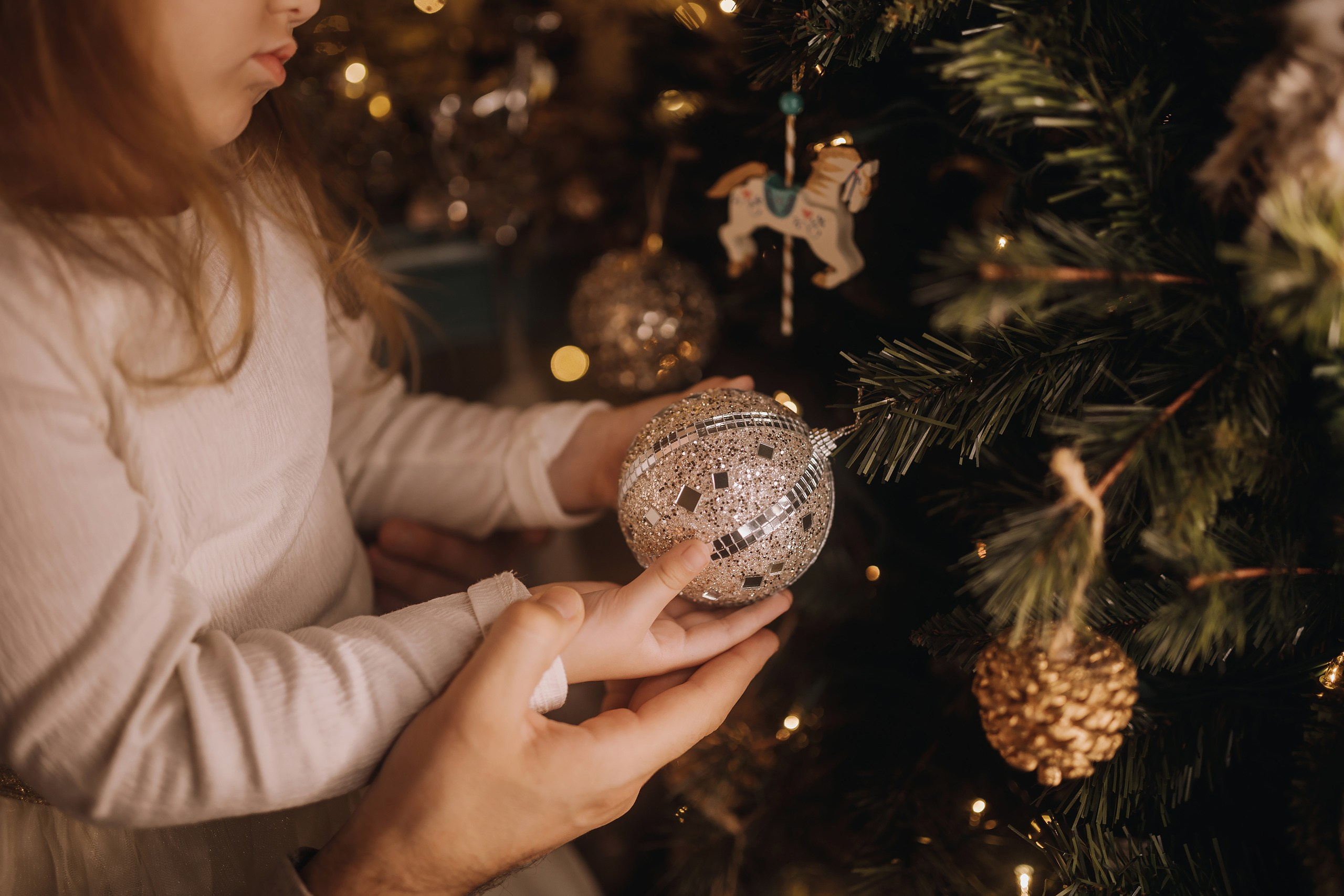 25.11.2023 Christmas Photoshoot. Wedding family event photographer in Chicago Nick Yushevich