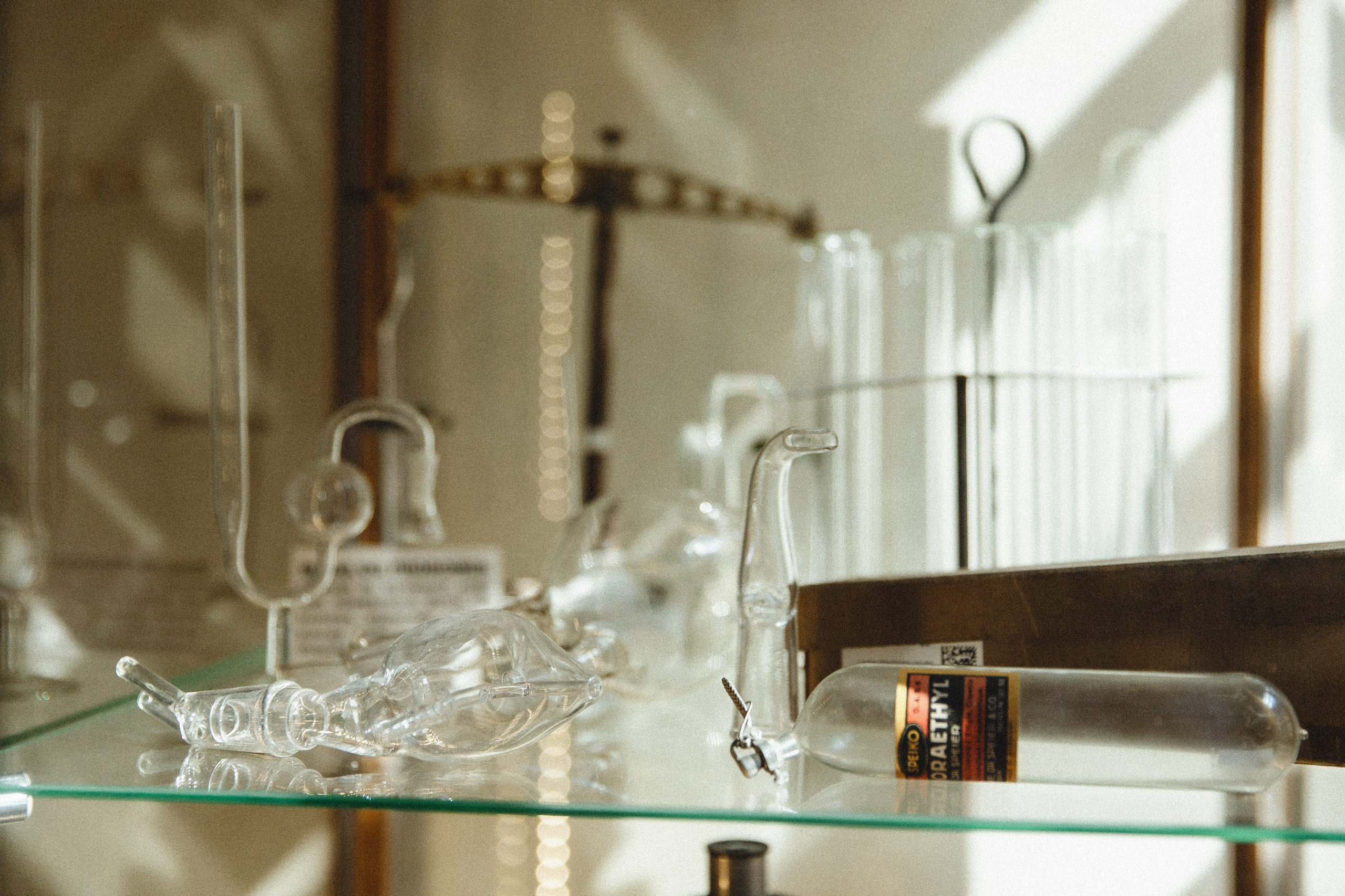 Museum of farmacy in Wroclaw. Kaja | fotograf we Wrocławiu | ludzie i psy