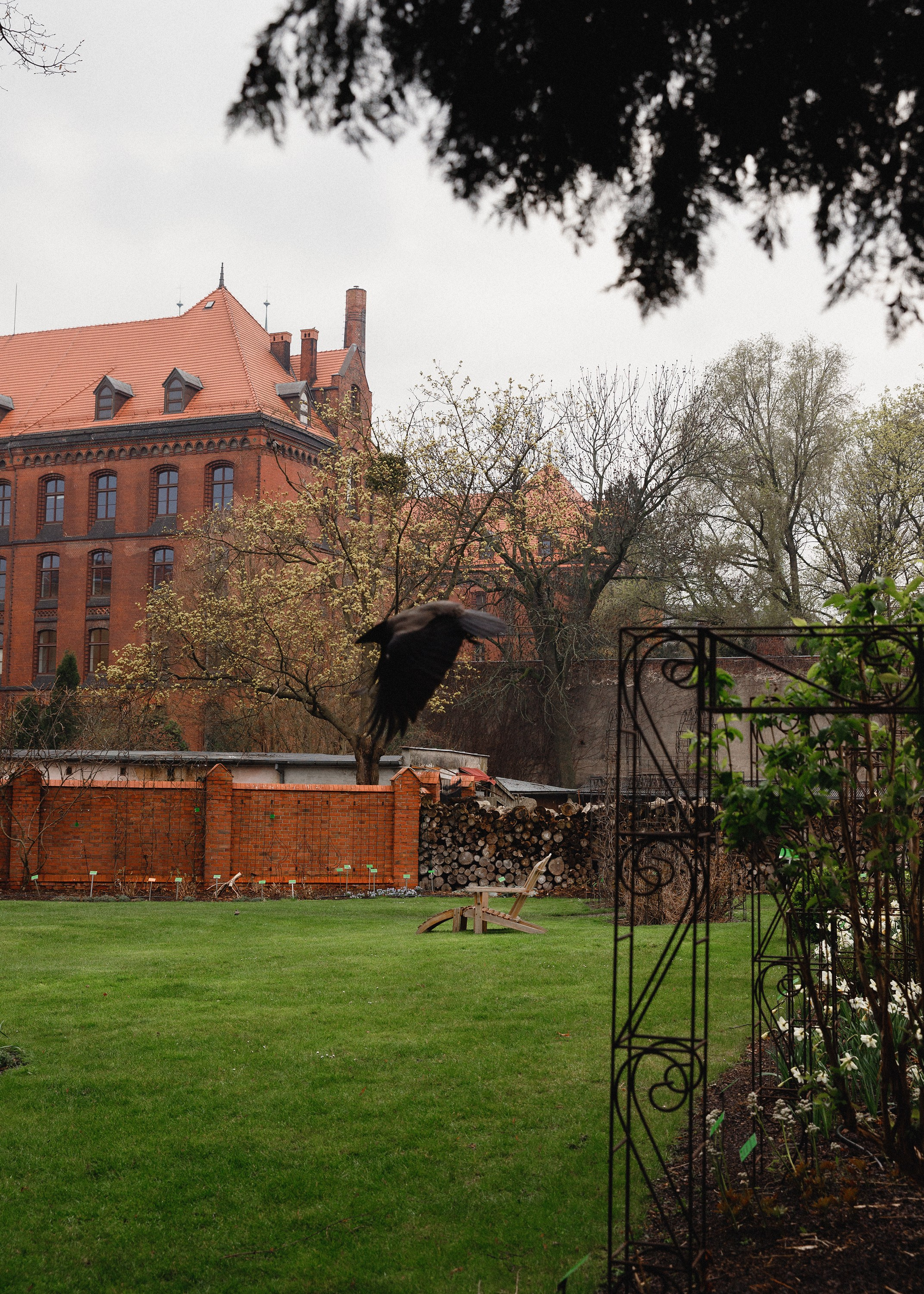 Botanical garden in Wroclaw. Kaja | fotograf we Wrocławiu | ludzie i psy