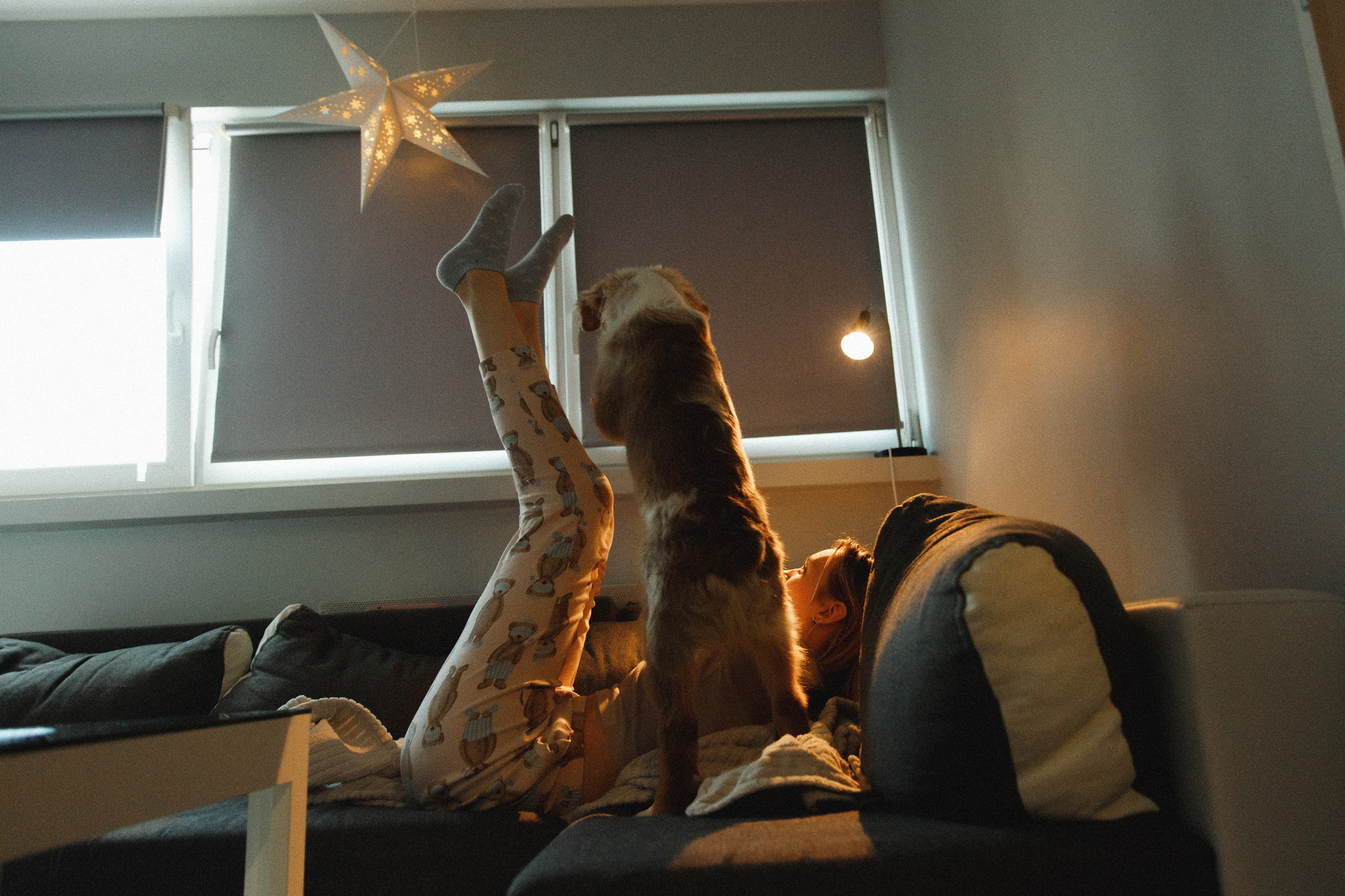 Fotografia psów Wrocław. Kaja | fotograf we Wrocławiu | ludzie i psy