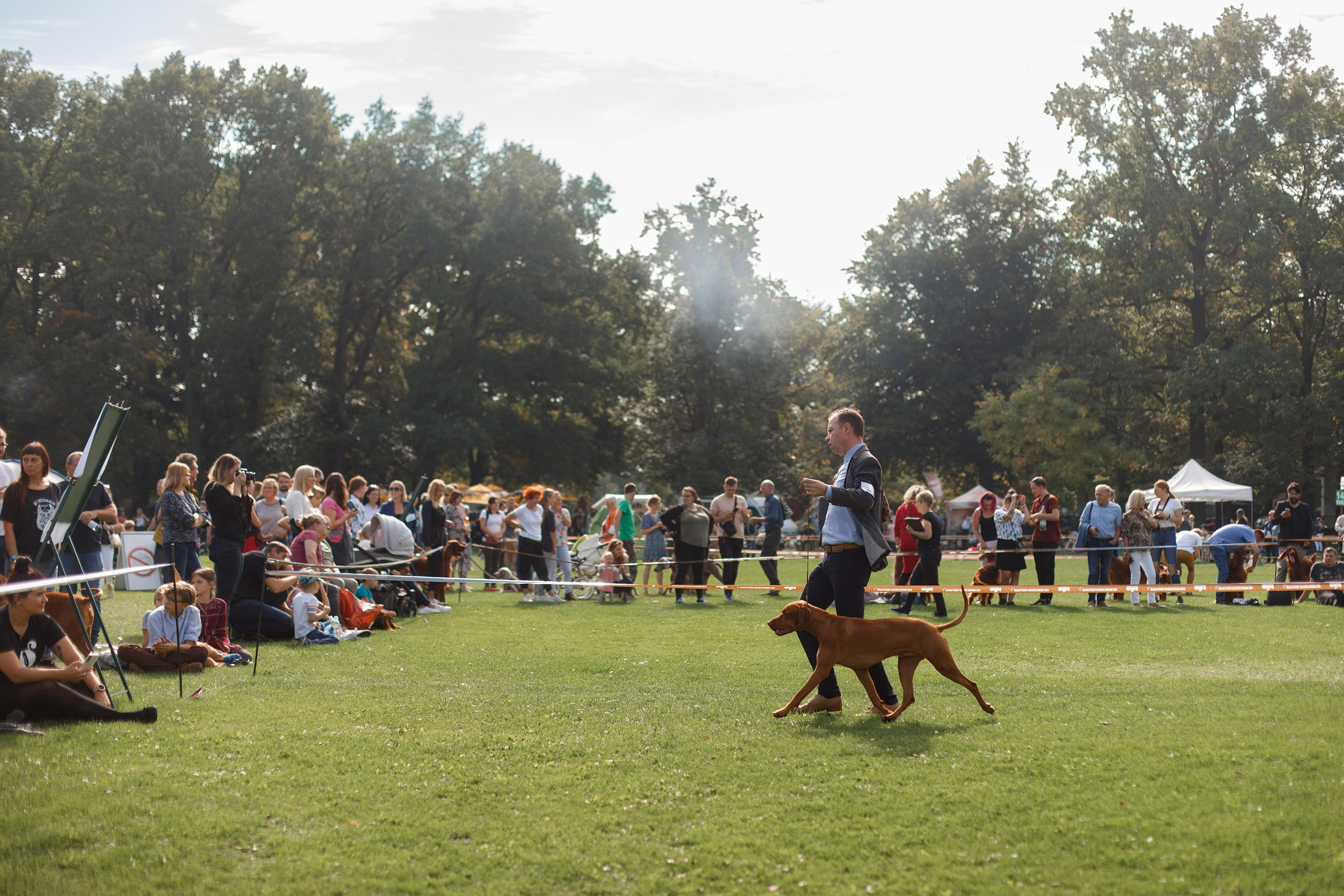 Dog shows | the best ones. Kaja | fotograf psów we Wrocławiu