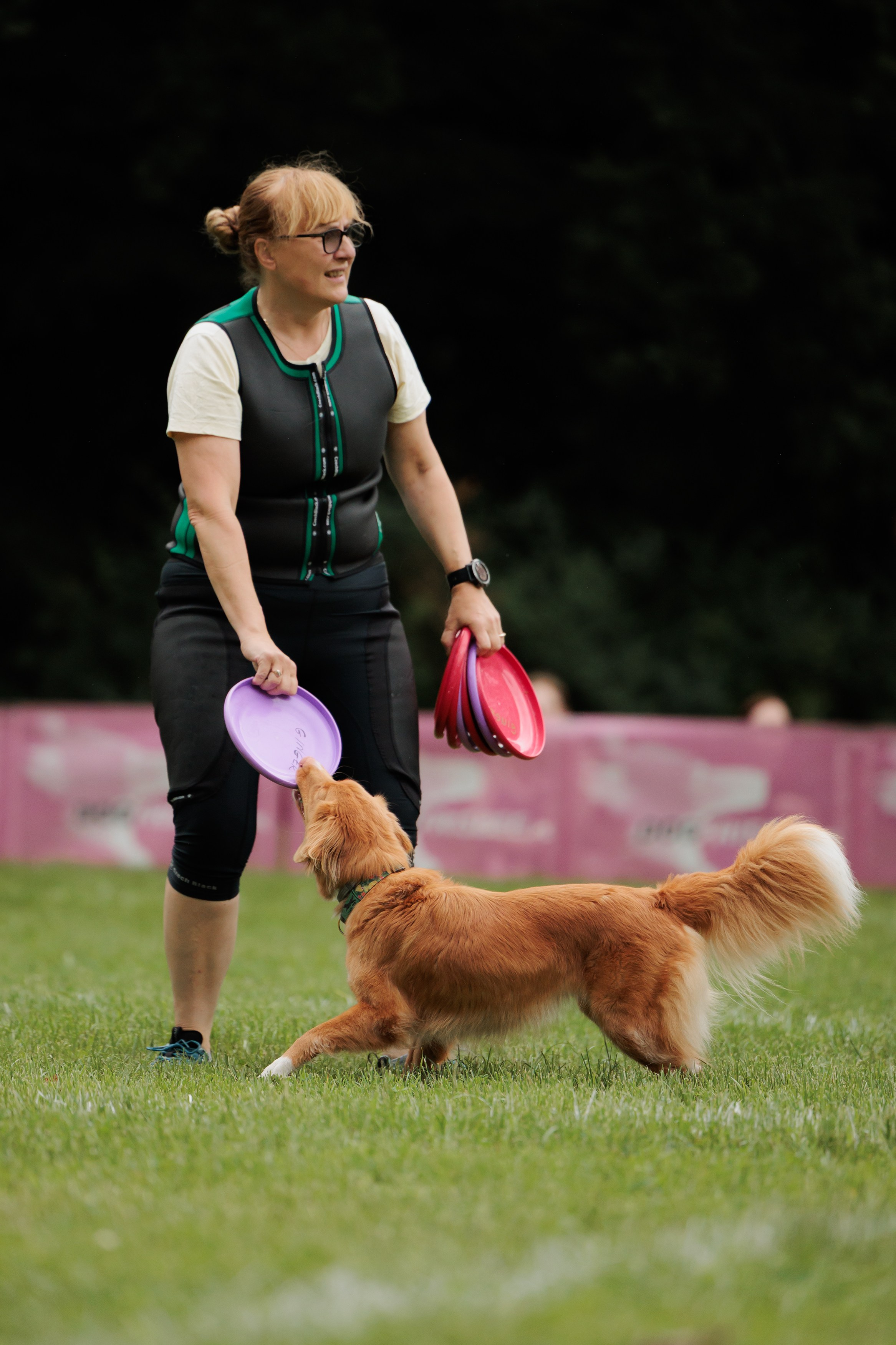 Latające psy, Wrocław'25. Kaja | fotograf psów we Wrocławiu