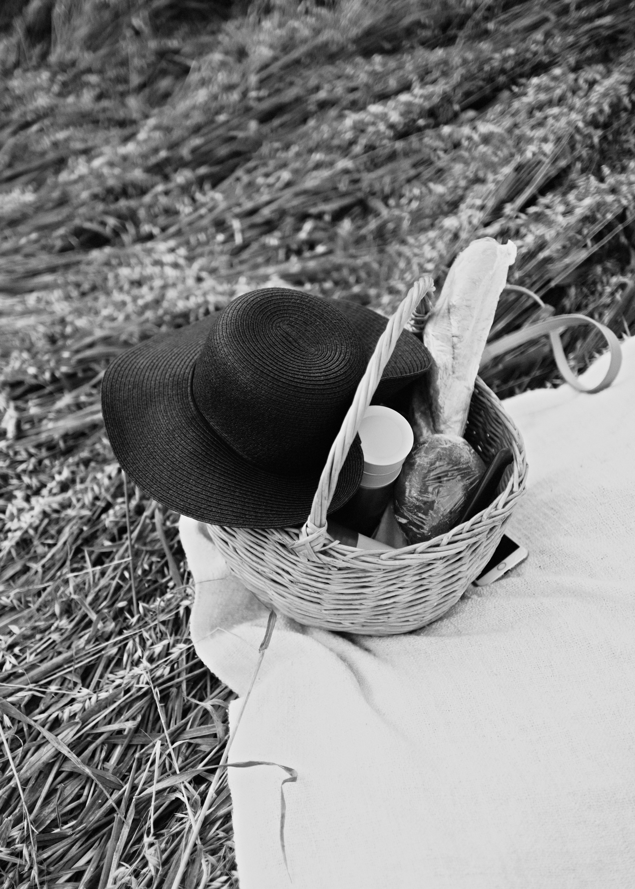 Katya | tenderness in the field. Kaja | fotograf psów we Wrocławiu