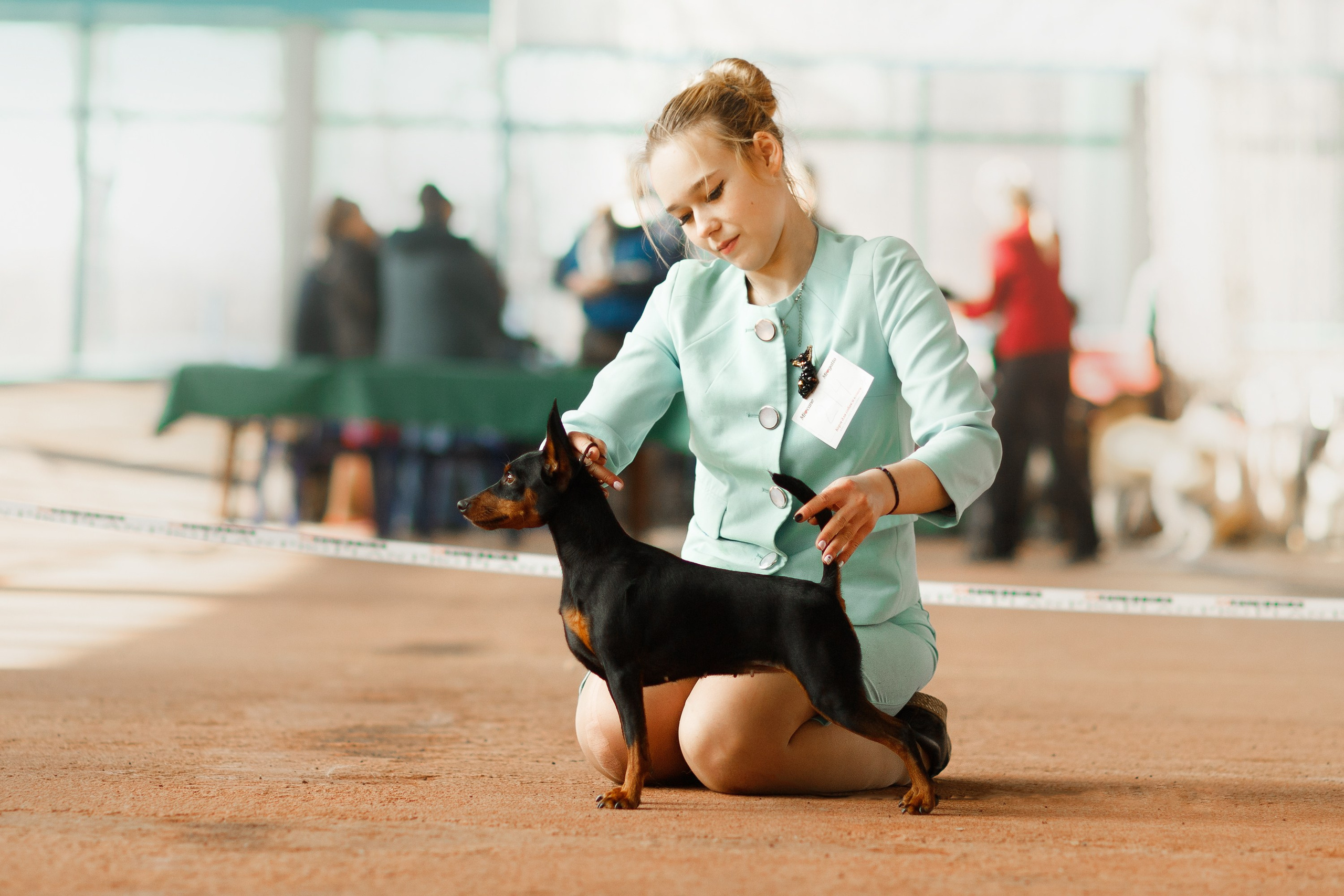 Dog shows | the best ones. Kaja | fotograf psów we Wrocławiu