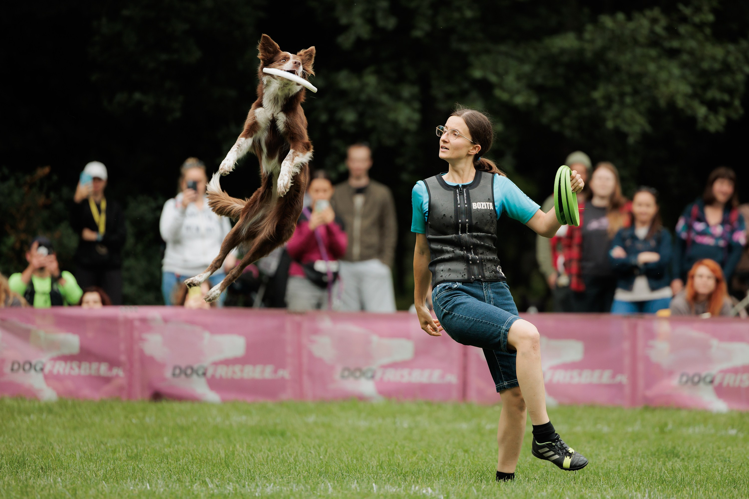 Latające psy, Wrocław'25. Kaja | fotograf psów we Wrocławiu